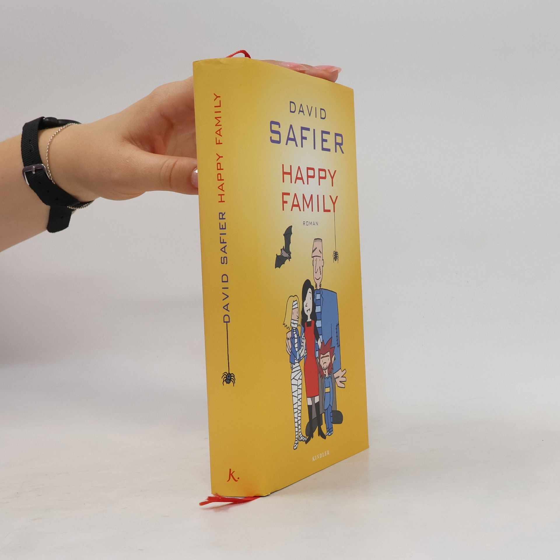 David Safier Happy Family