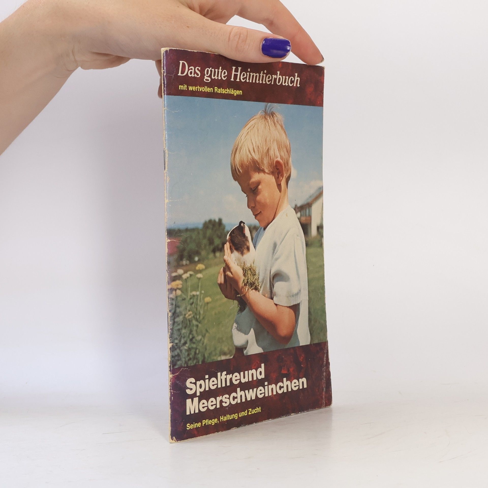 kolektiv Spielfreund Meerschweinchen