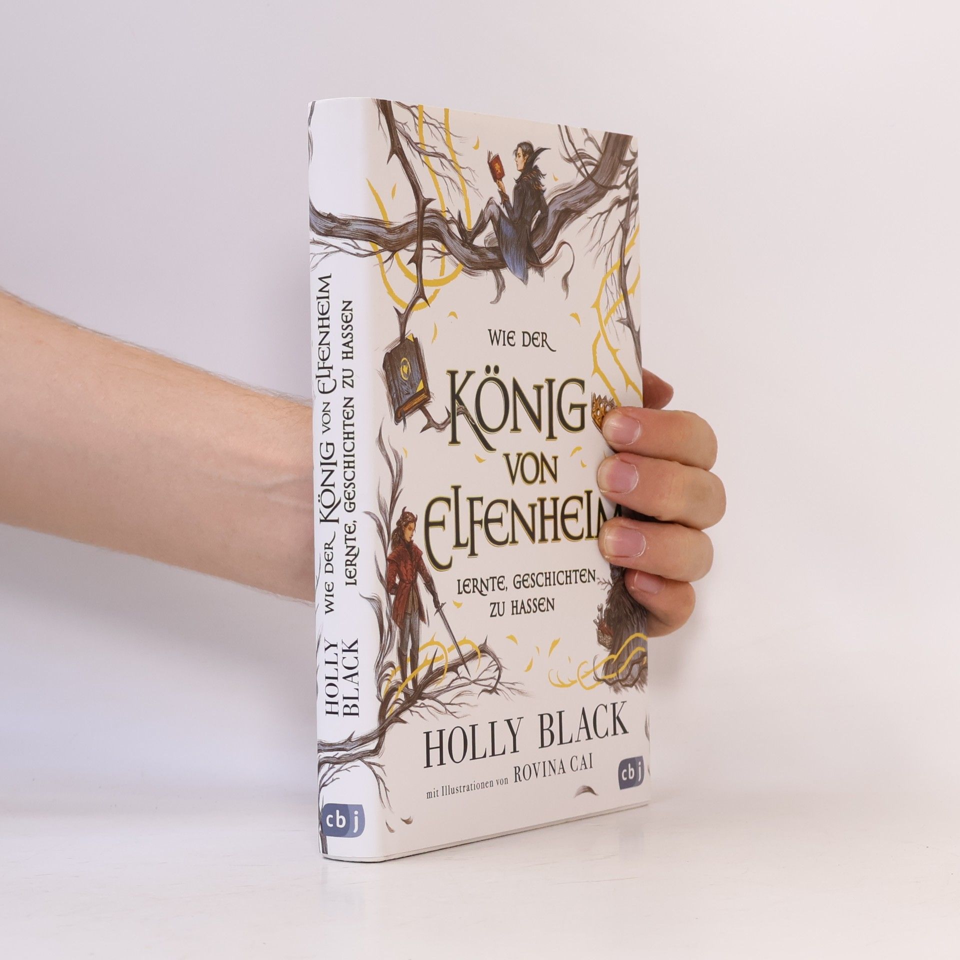 Holly Black Wie der König von Elfenheim lernte, Geschichten zu hassen