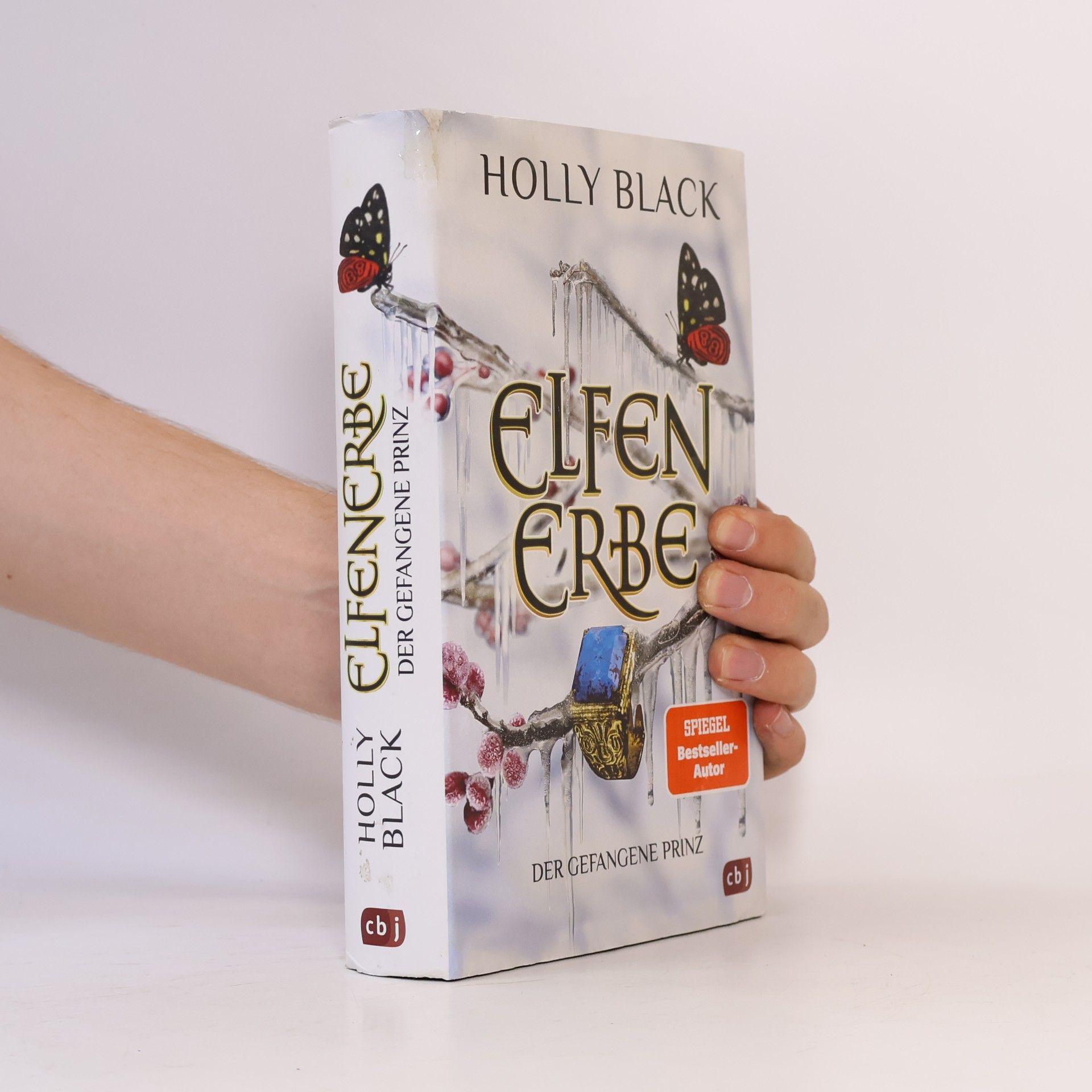 Holly Black Elfenerbe - der gefangene Prinz