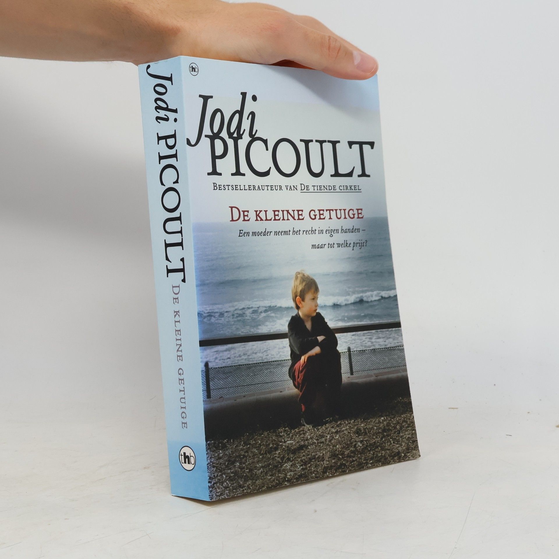 Jodi Picoult De kleine getuige