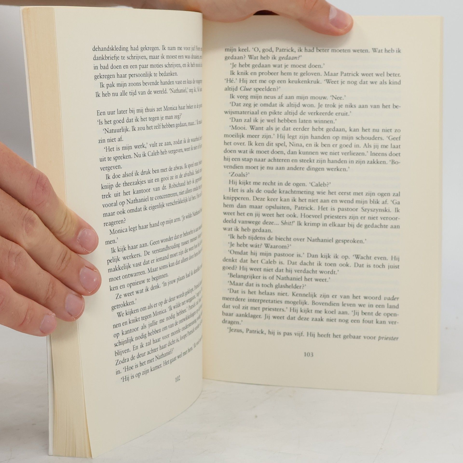 Jodi Picoult De kleine getuige