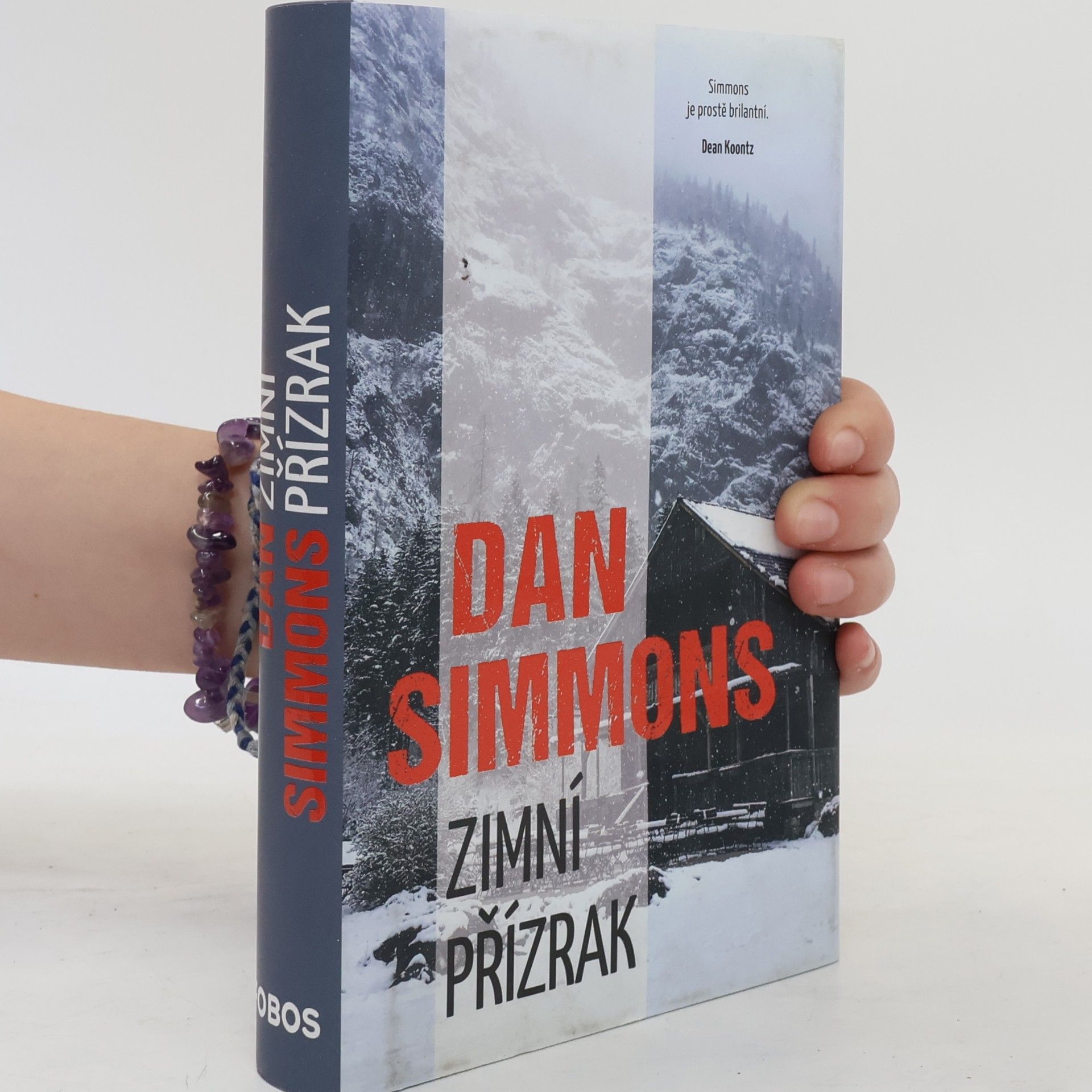 Dan Simmons Zimní přízrak