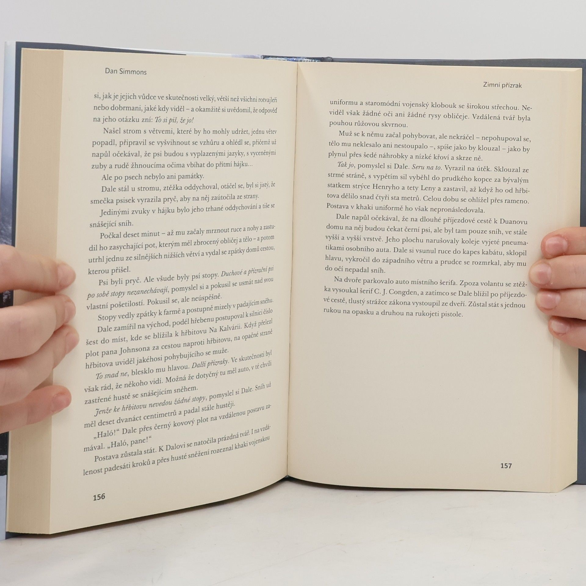 Dan Simmons Zimní přízrak