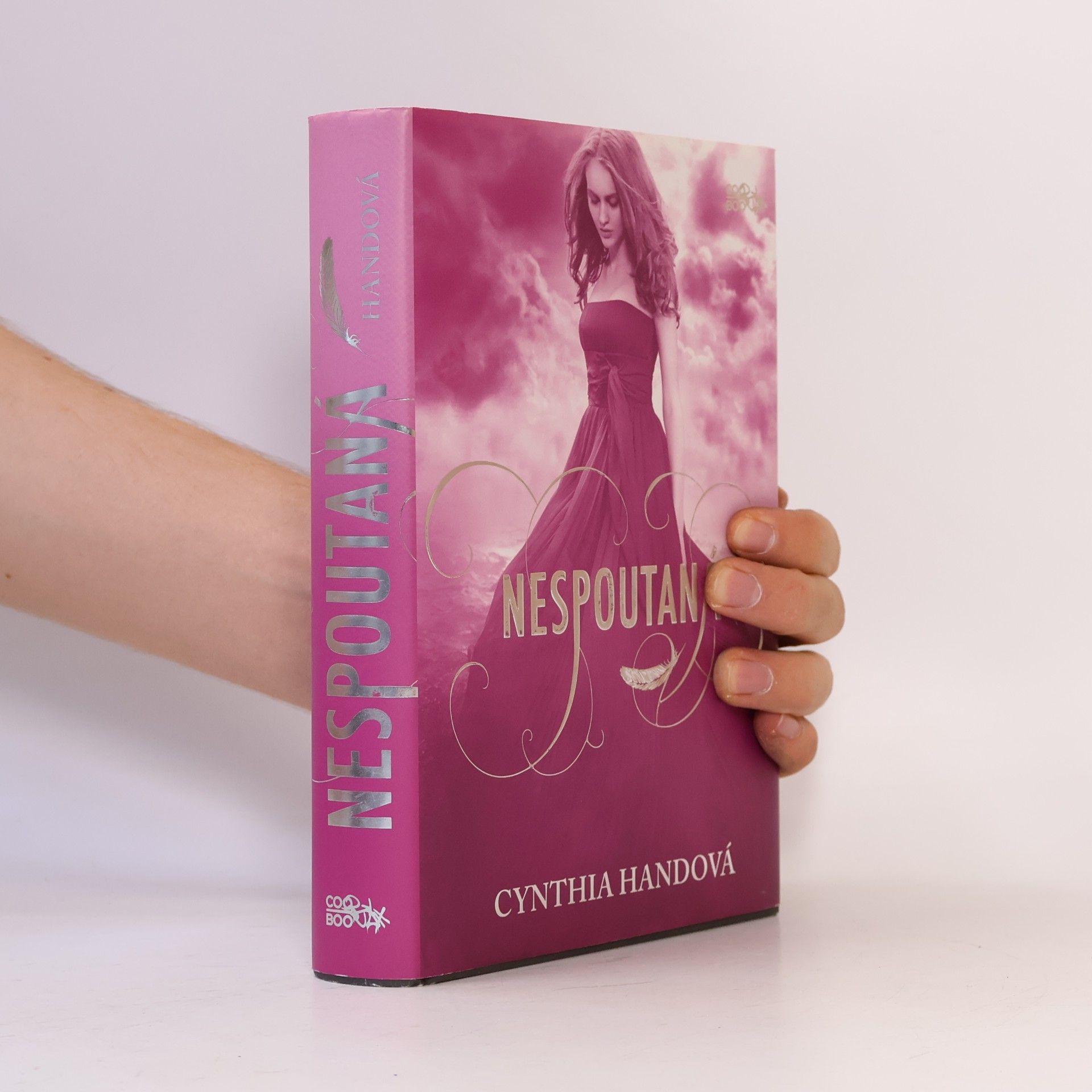Cynthia Hand Nespoutaná. Třetí díl