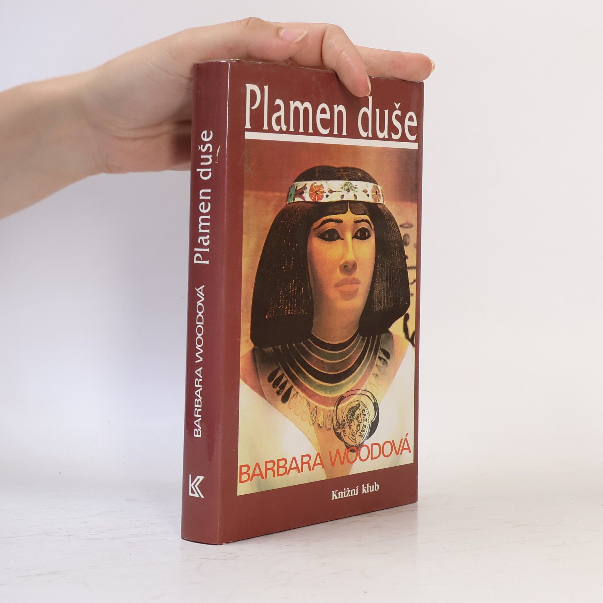 Barbara Wood Plamen duše