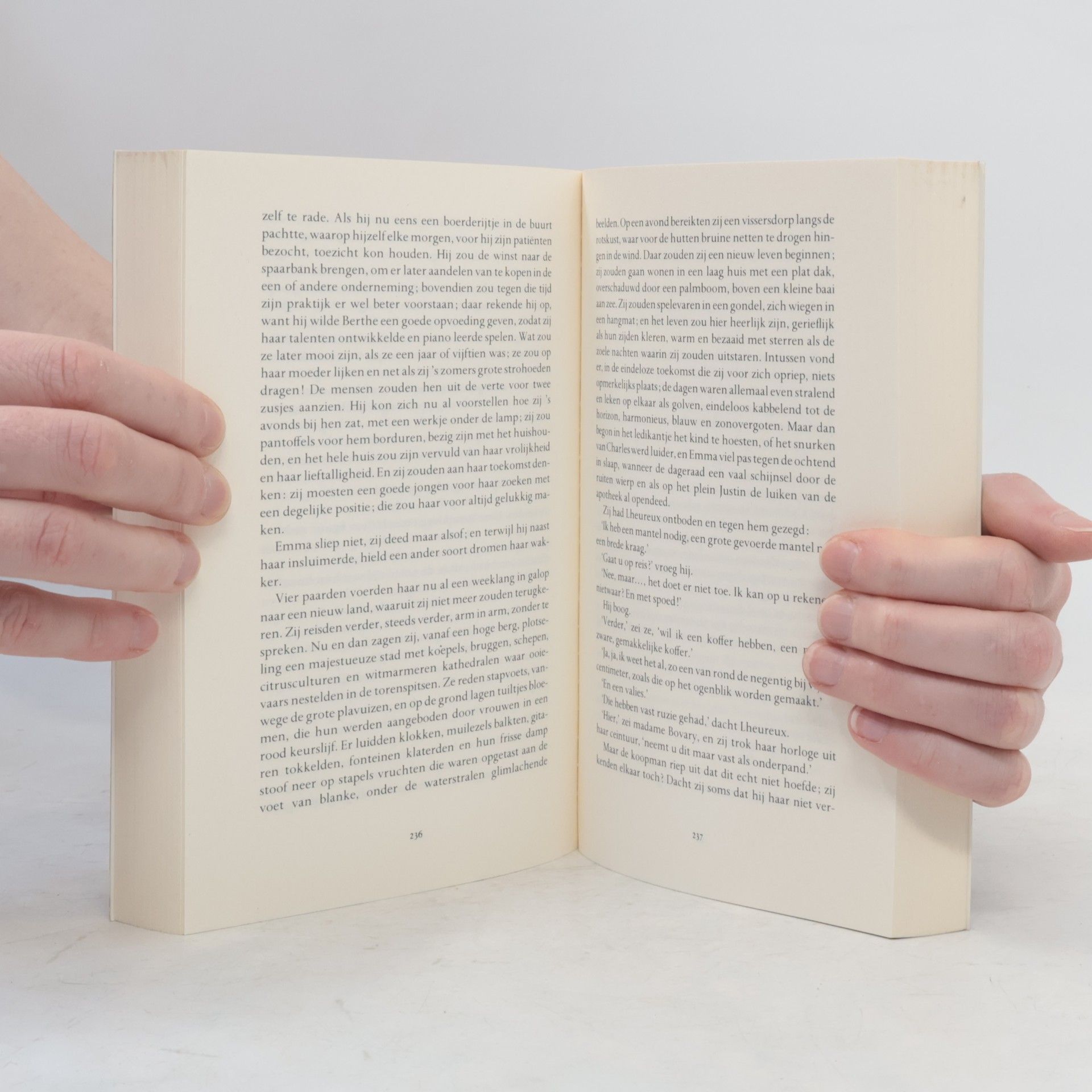 Gustave Flaubert Madame Bovary