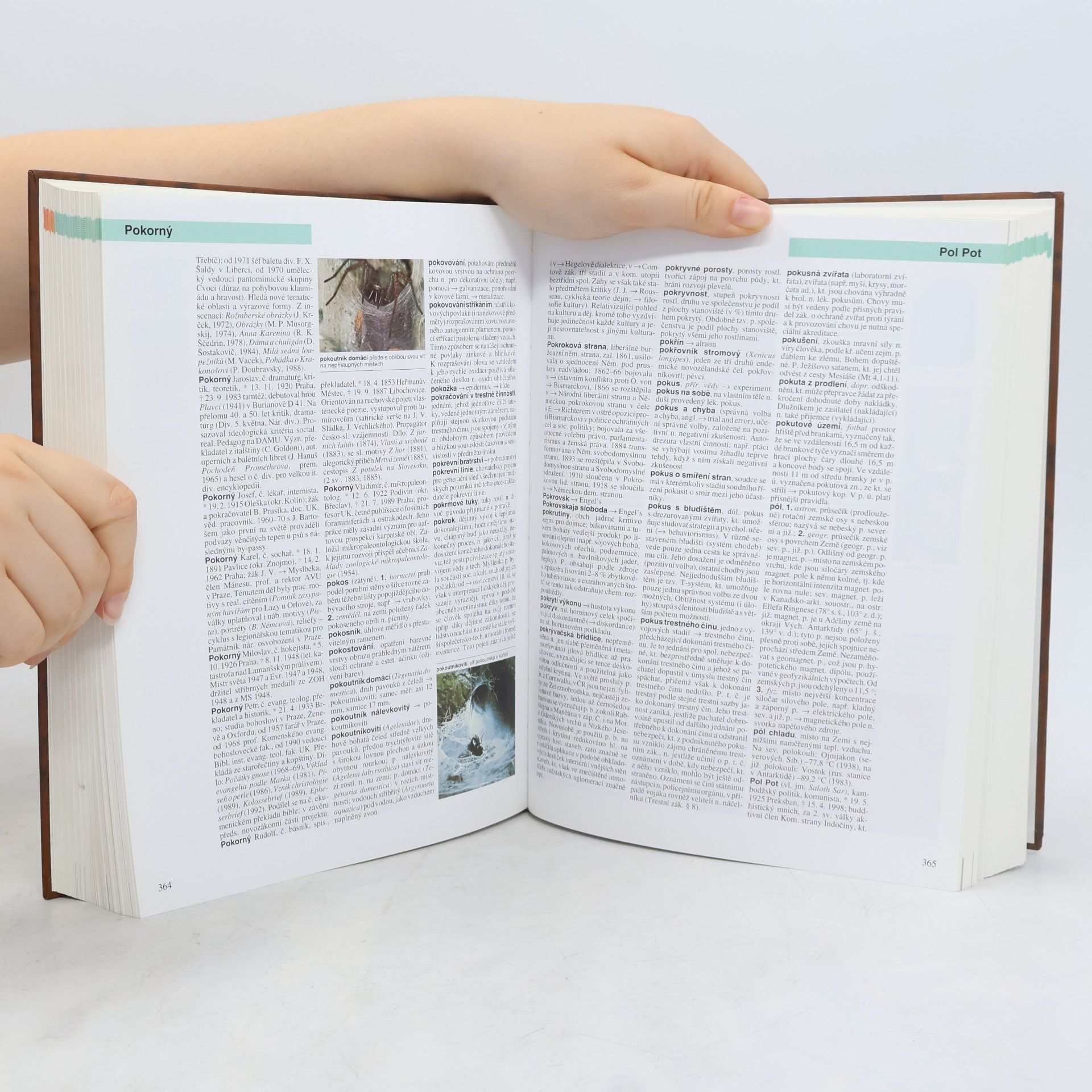 Autorenkollektiv Universum 7