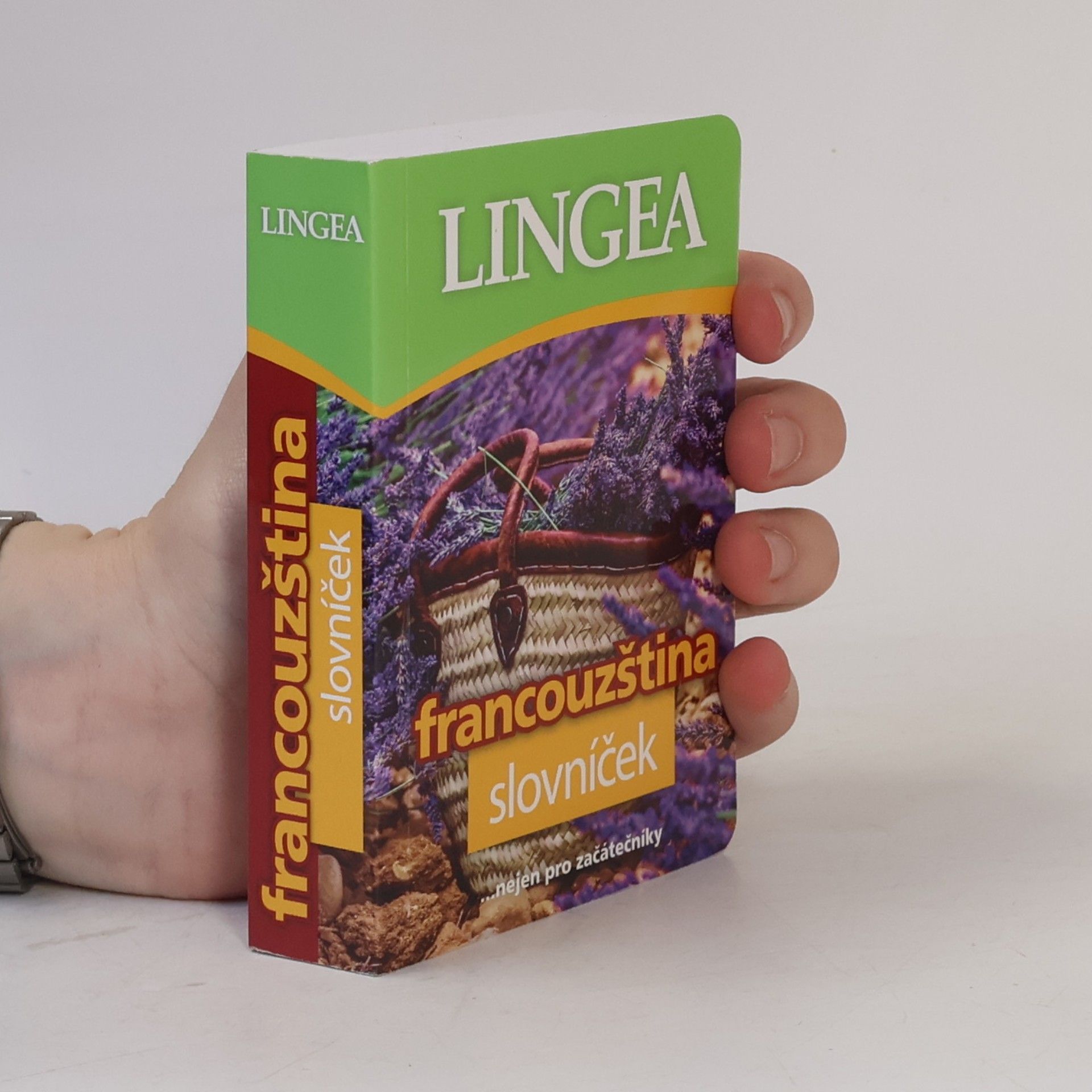 Kolektiv autorů Francouzština : slovníček