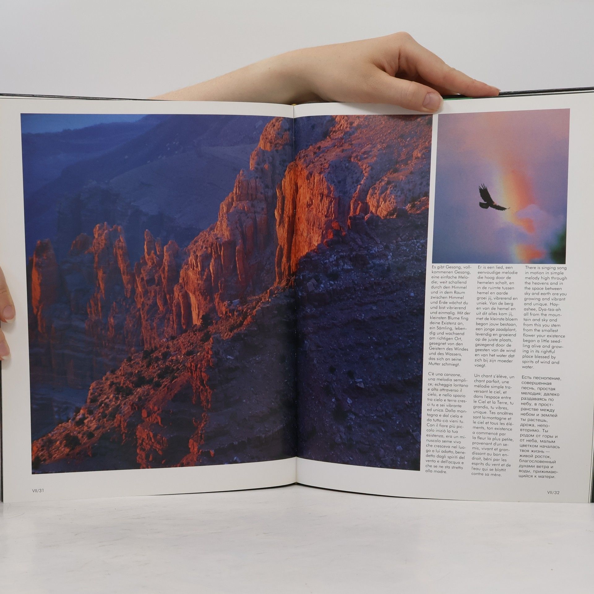 Autorenkollektiv Cosmos Magicus