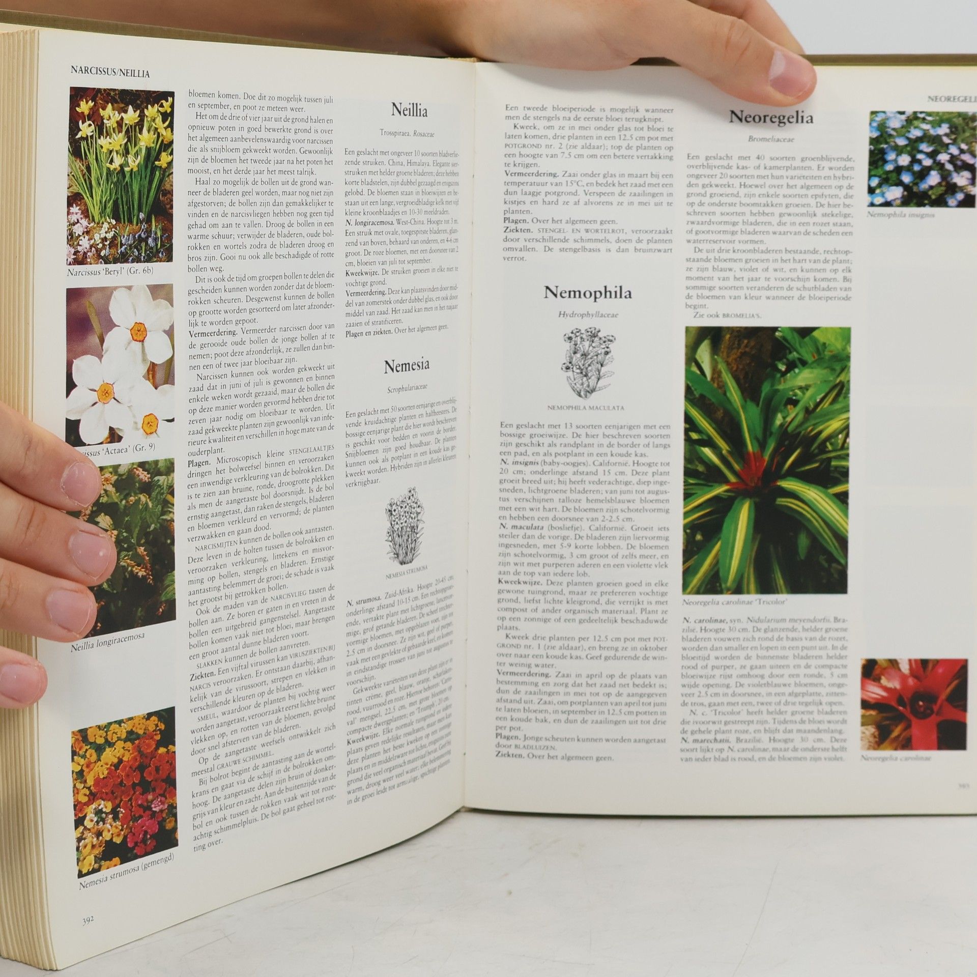 De Reader's Digest Bloemen- en Planten-Encyclopedie