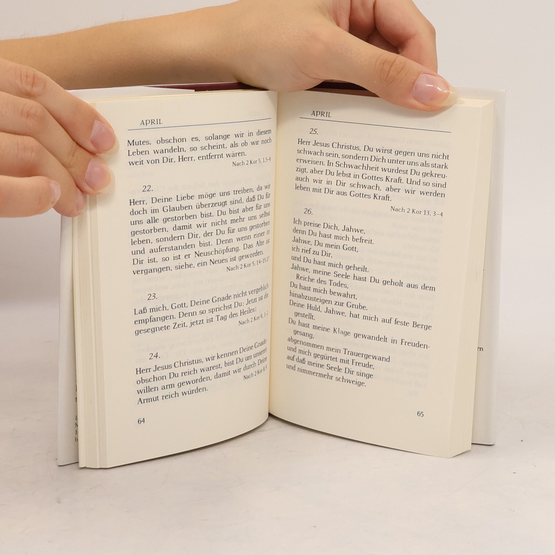 Johannes Bours Zu dir rufe ich. Das tägliche Schriftgebet
