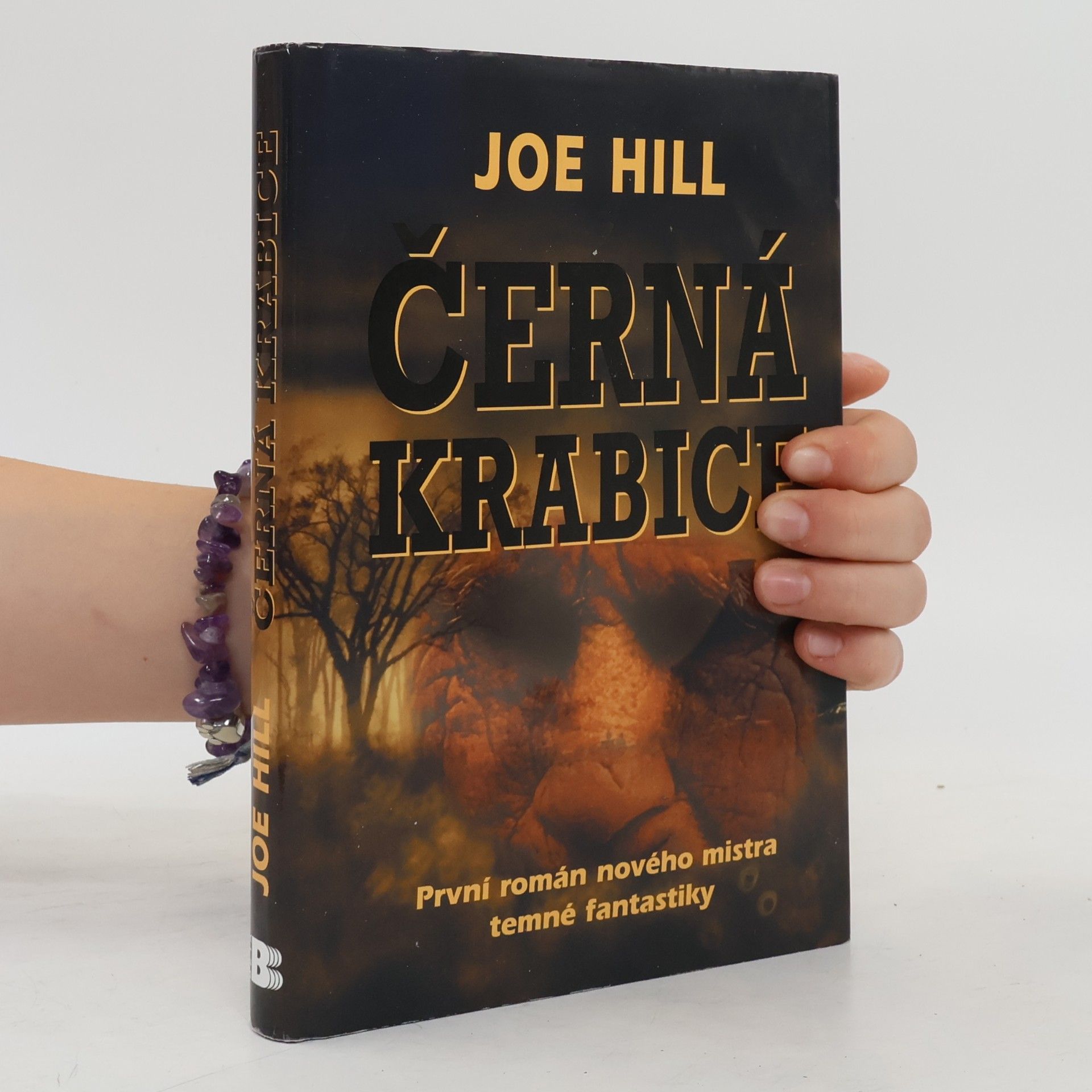 Joe Hill Černá krabice