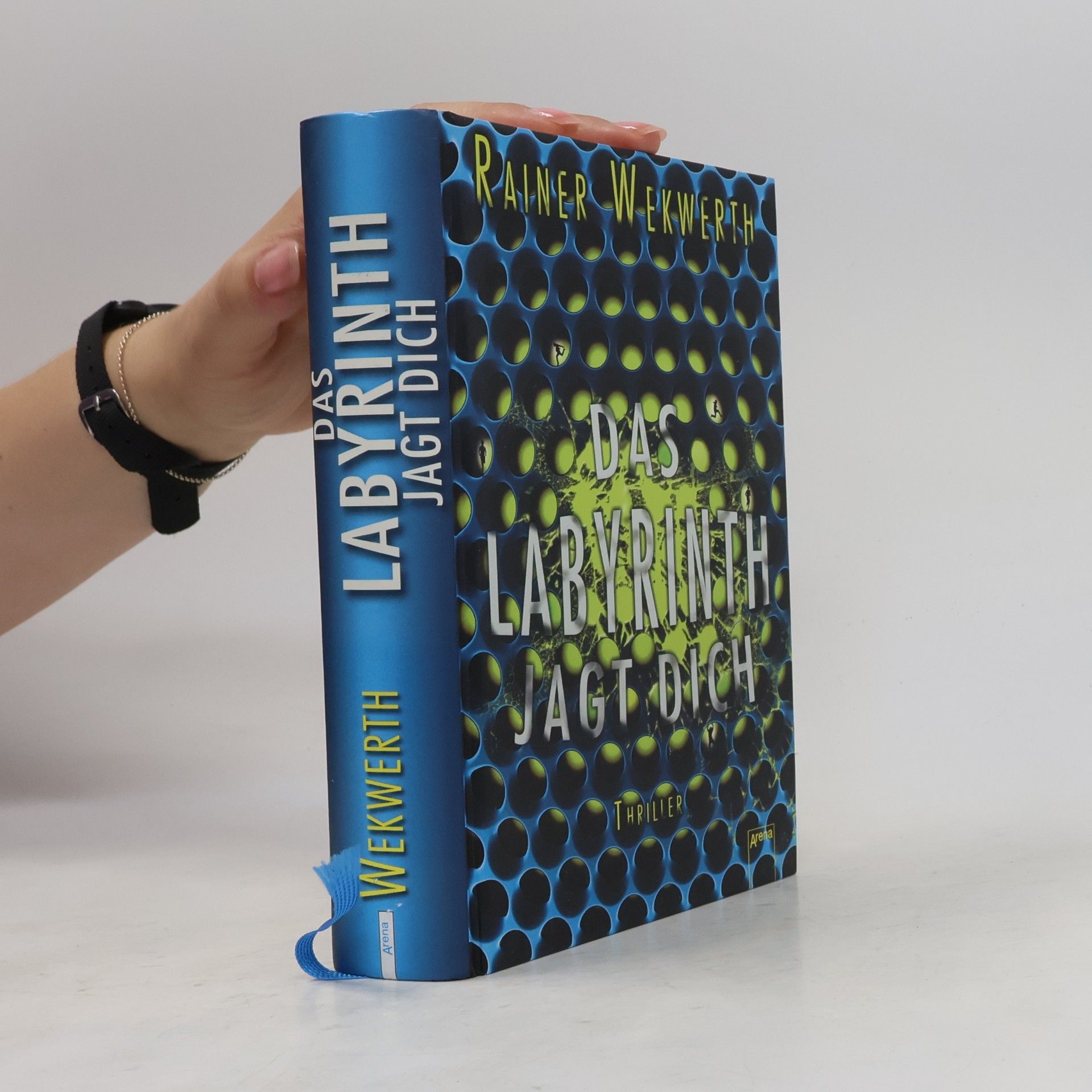 Rainer Wekwerth Das Labyrinth jagt dich