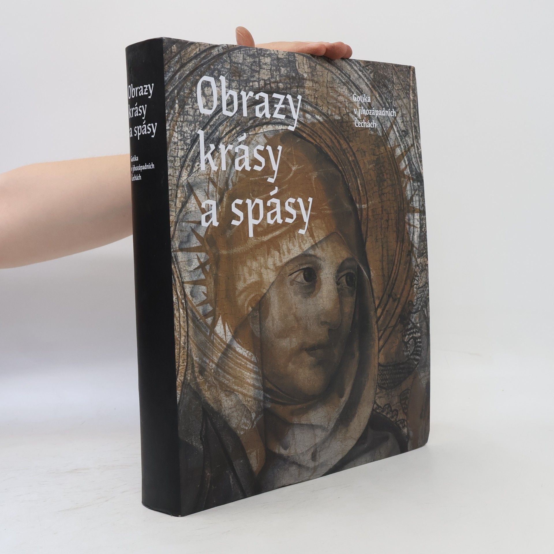 Petr Jindra Obrazy krásy a spásy. Gotika v jihozápadních Čechách