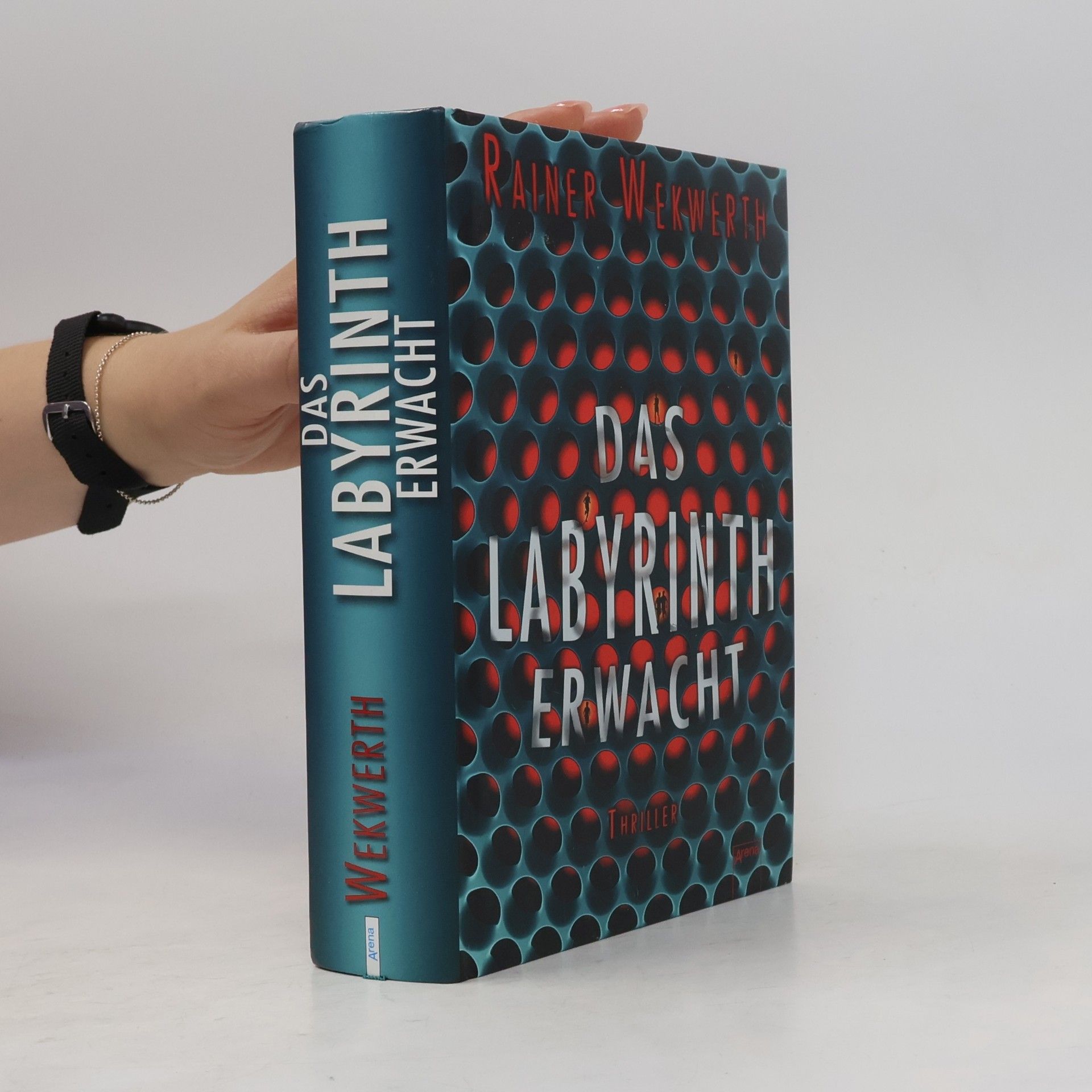Rainer Wekwerth Das Labyrinth erwacht