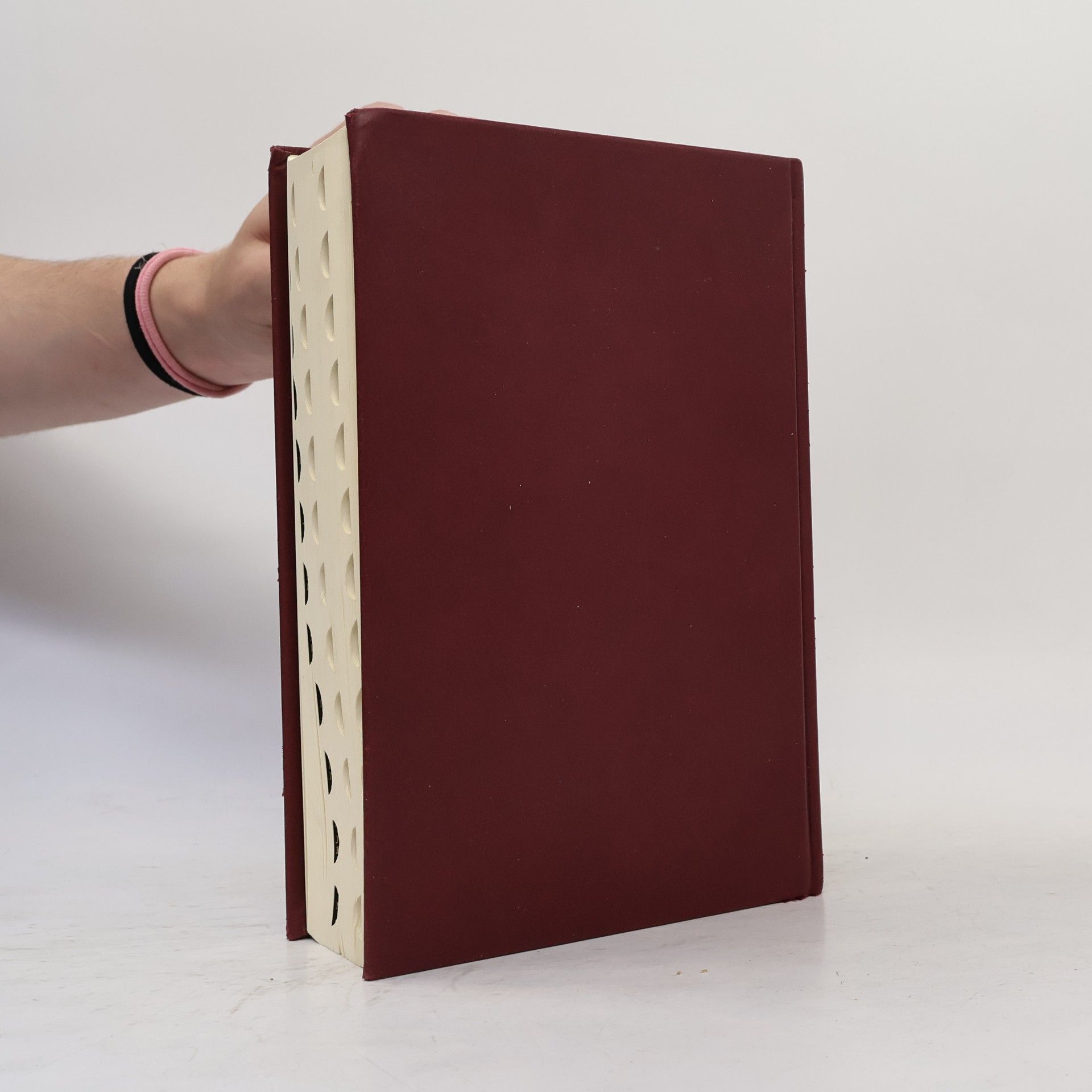 Collectif d'auteurs Sväté písmo – Jeruzalemská Biblia