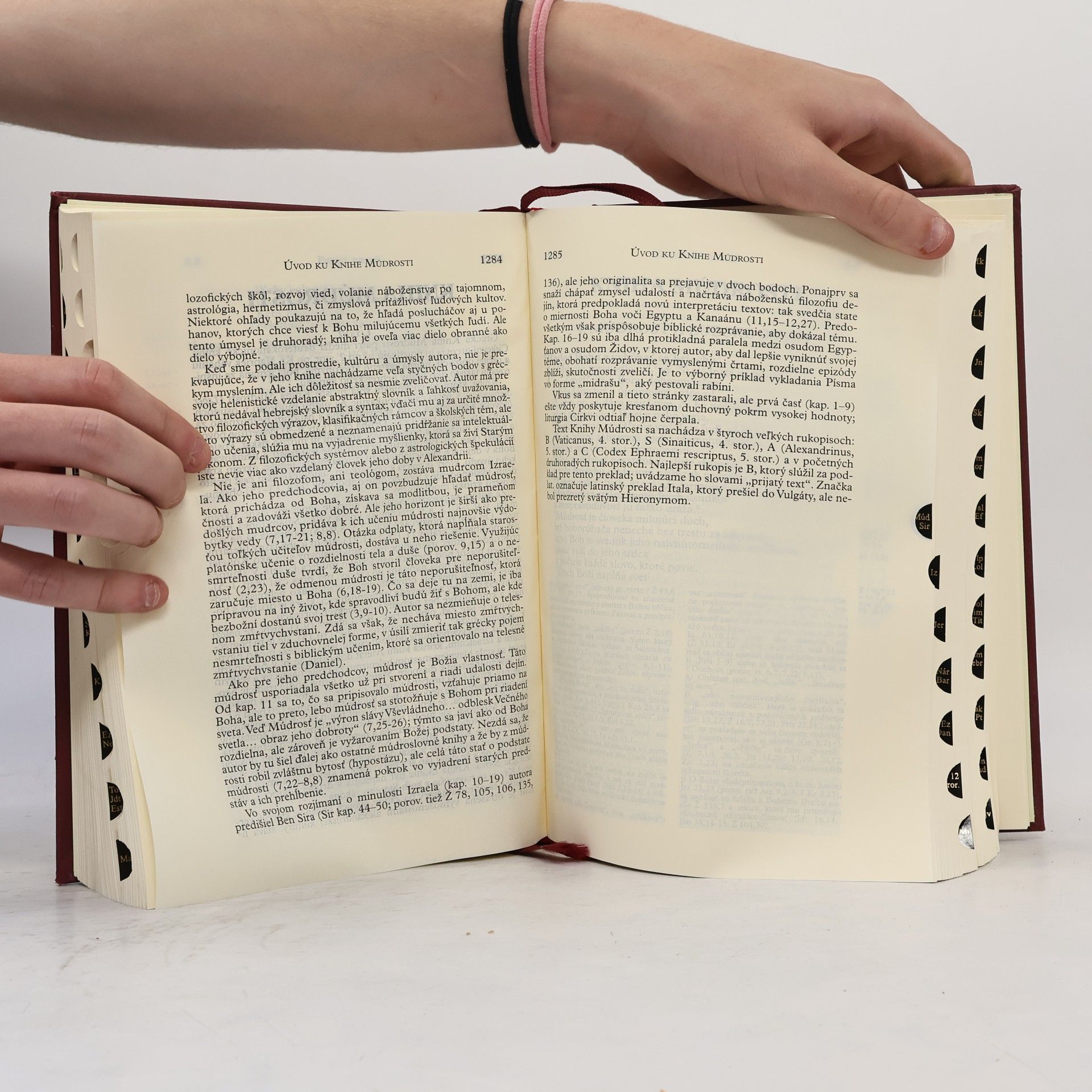 Collectif d'auteurs Sväté písmo – Jeruzalemská Biblia
