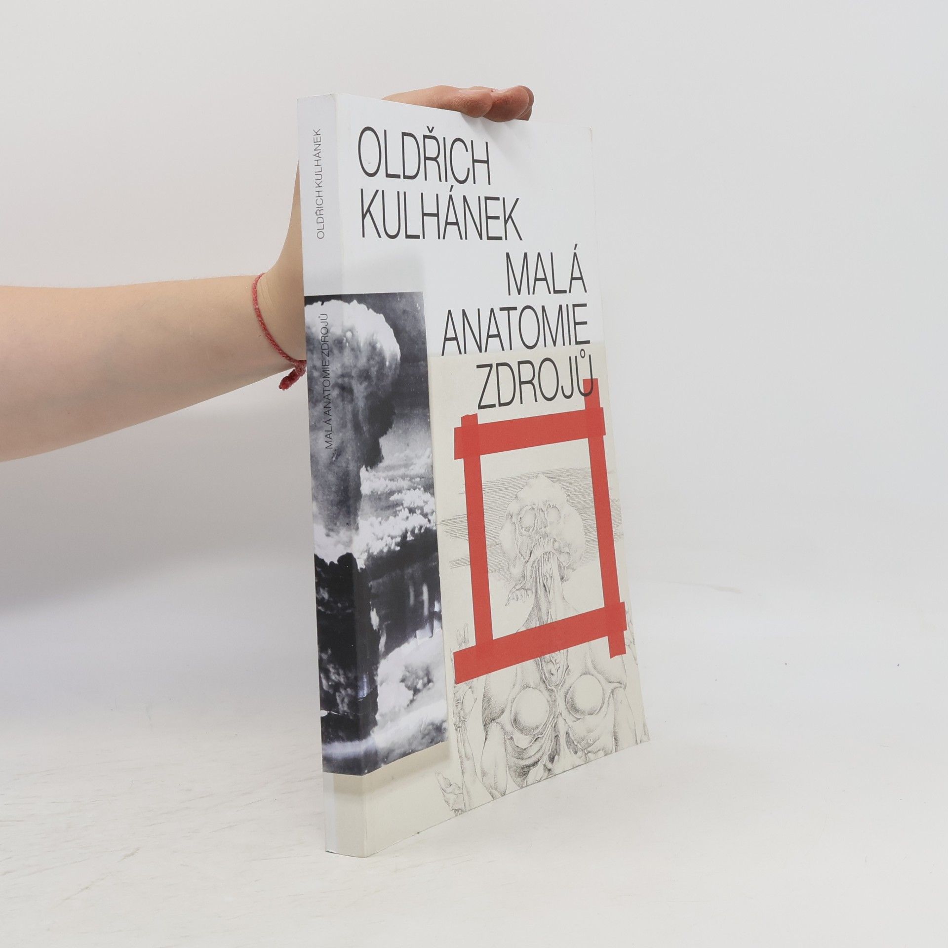 Autorenkollektiv Oldřich Kulhánek - Malá anatomie zdrojů