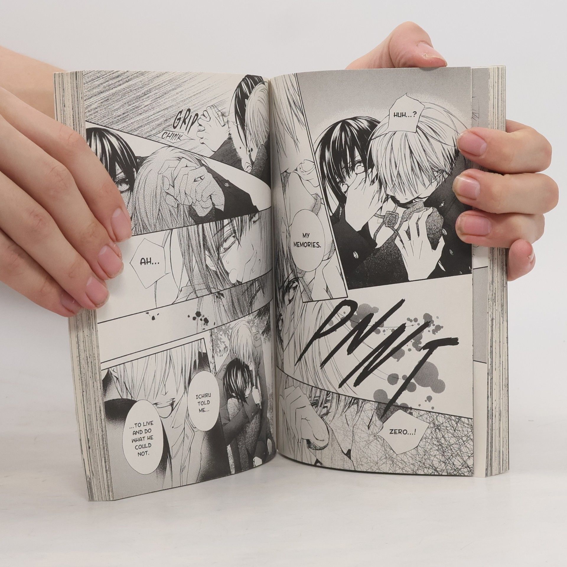 Matsuri Hino Vampire Knight, Vol. 19