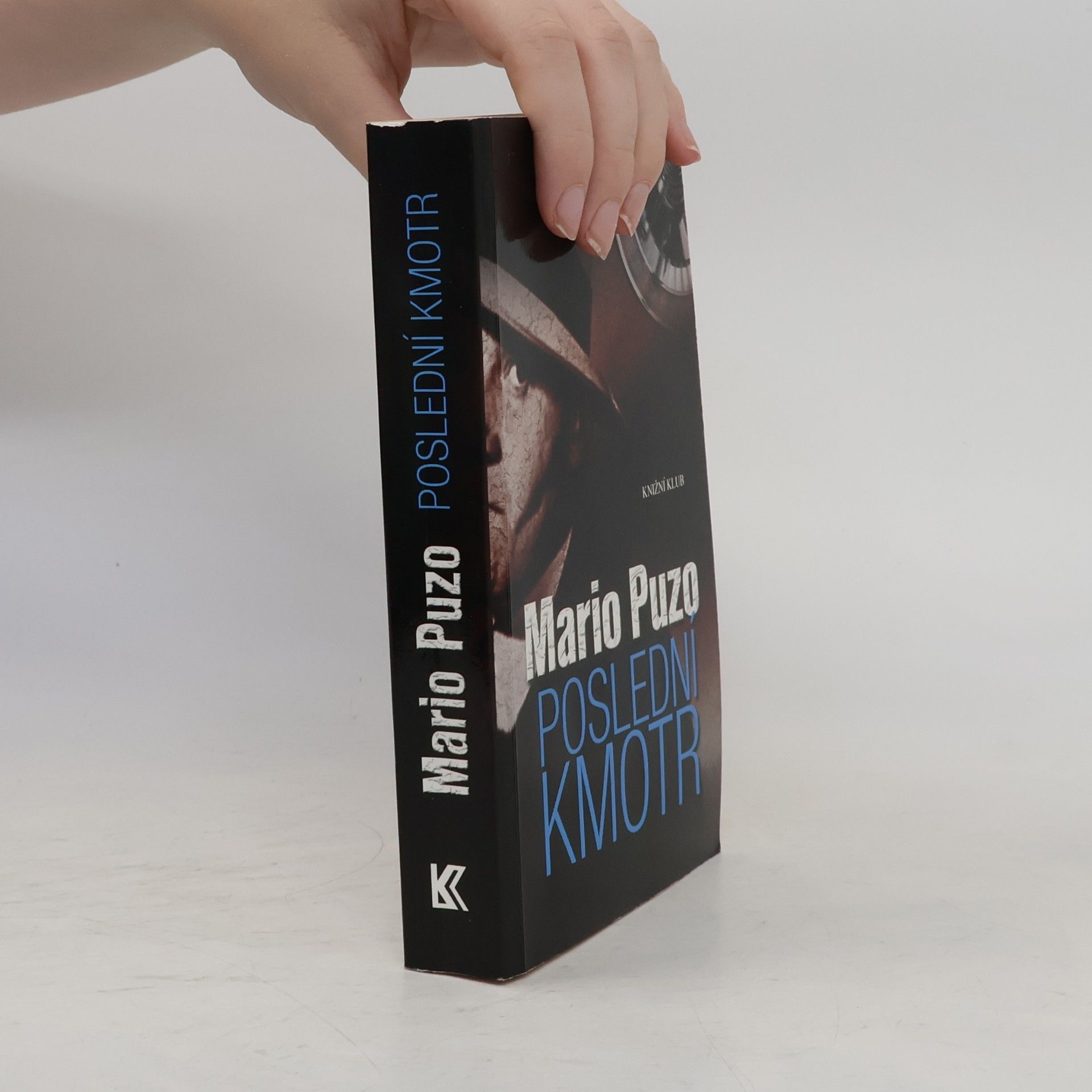 Mario Puzo Poslední kmotr