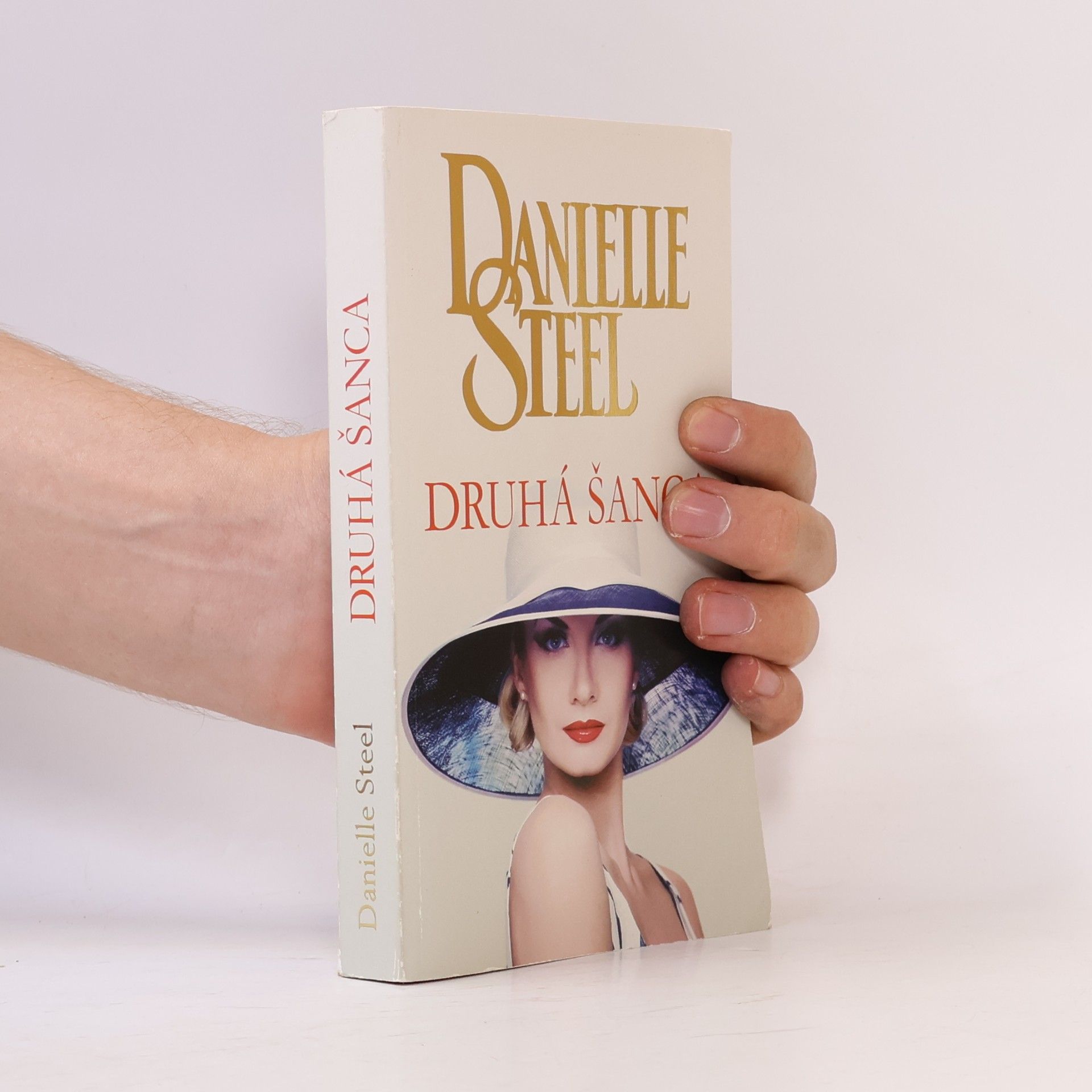 Danielle Steelová Druhá šanca