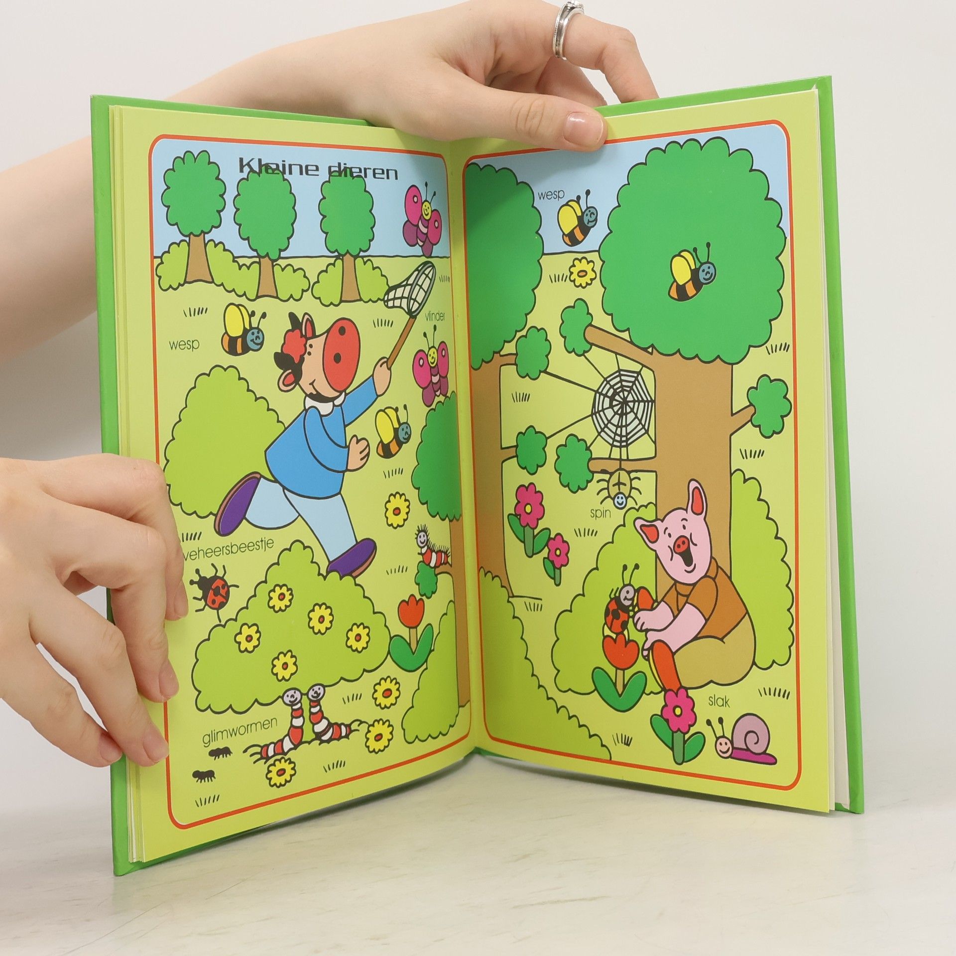 Autorenkollektiv Woordjes Dieren