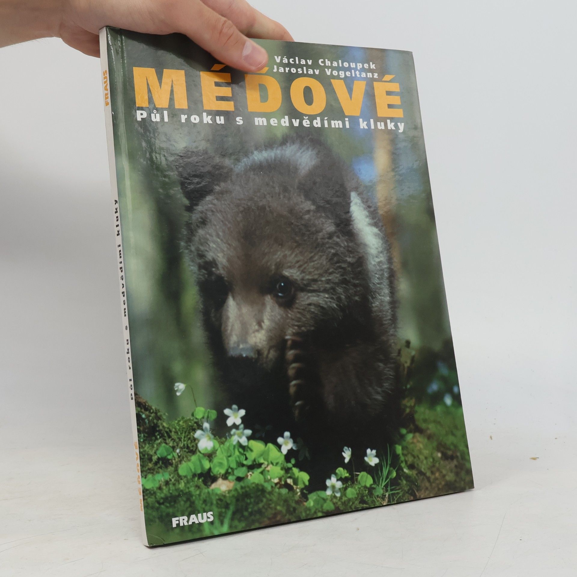 Václav Chaloupek Méďové. Půl roku s medvědími kluky