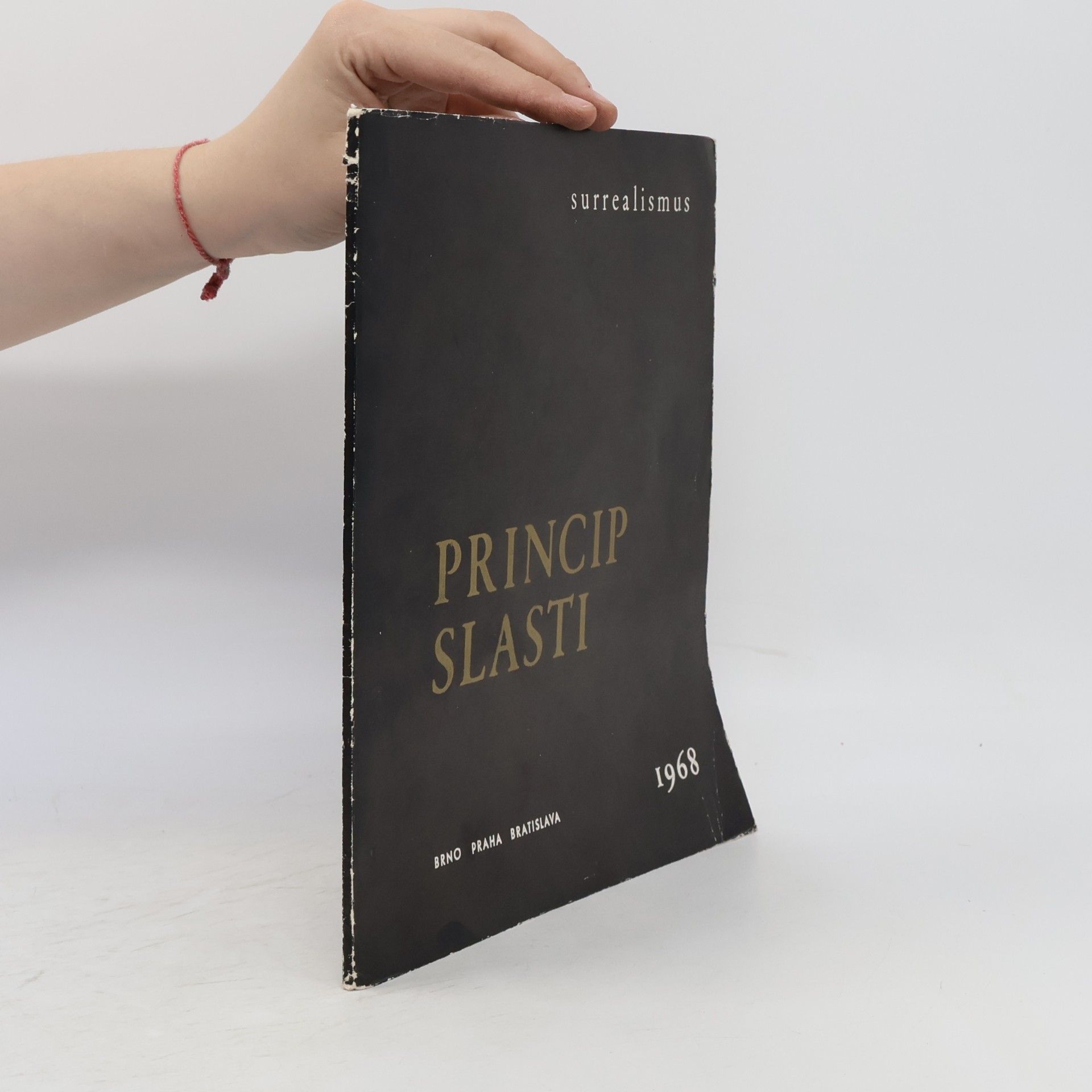 Collectif d'auteurs Princip slasti