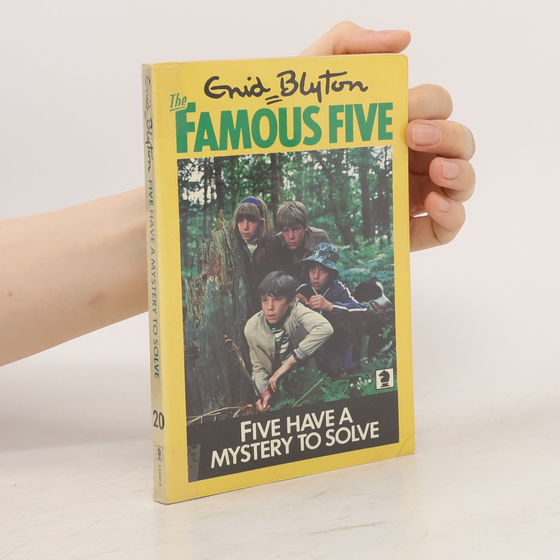 Enid Blyton Five Have a Mystery to Solve