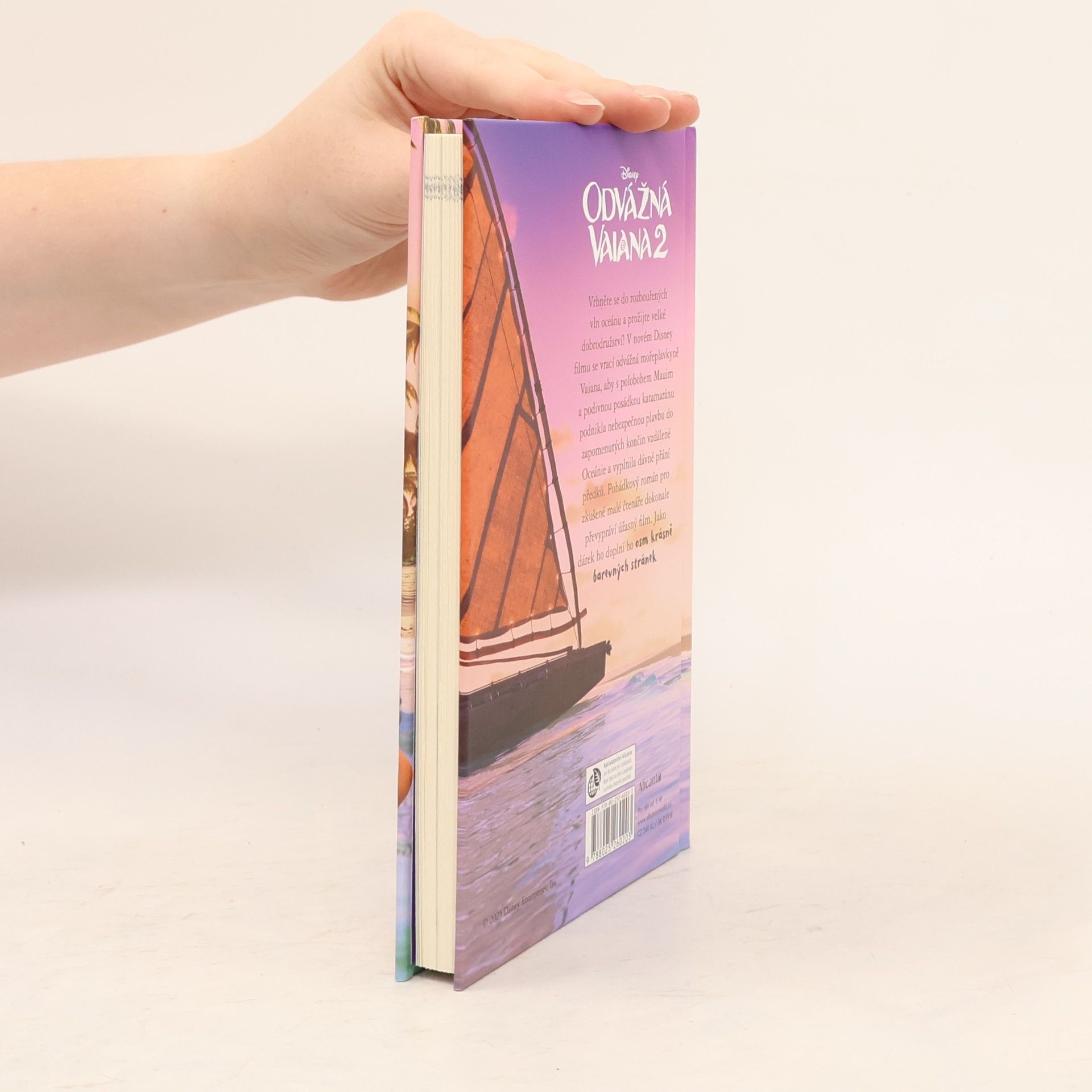 Collectif d'auteurs Odvážná Vaiana 2