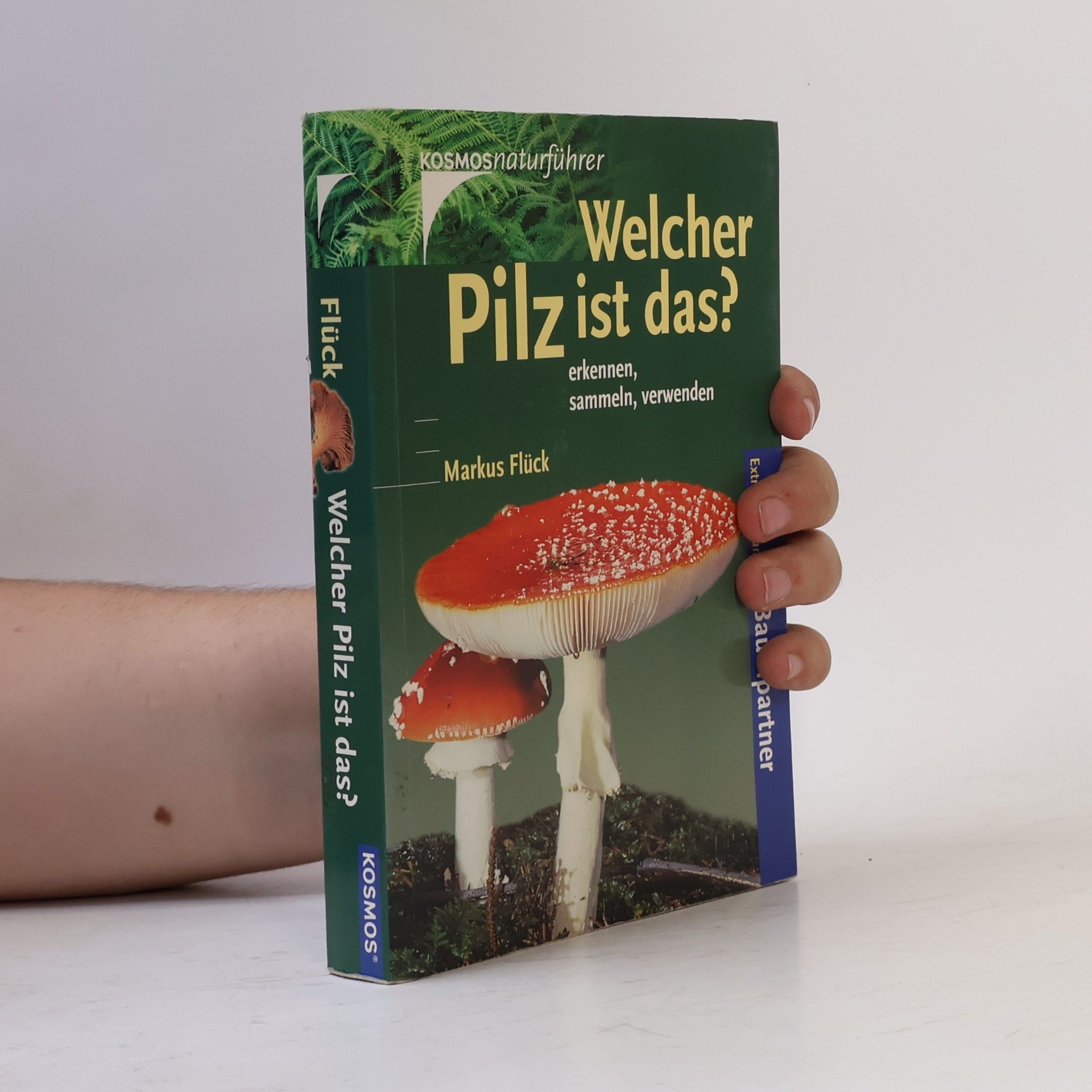 Markus Flück Welcher Pilz ist das?