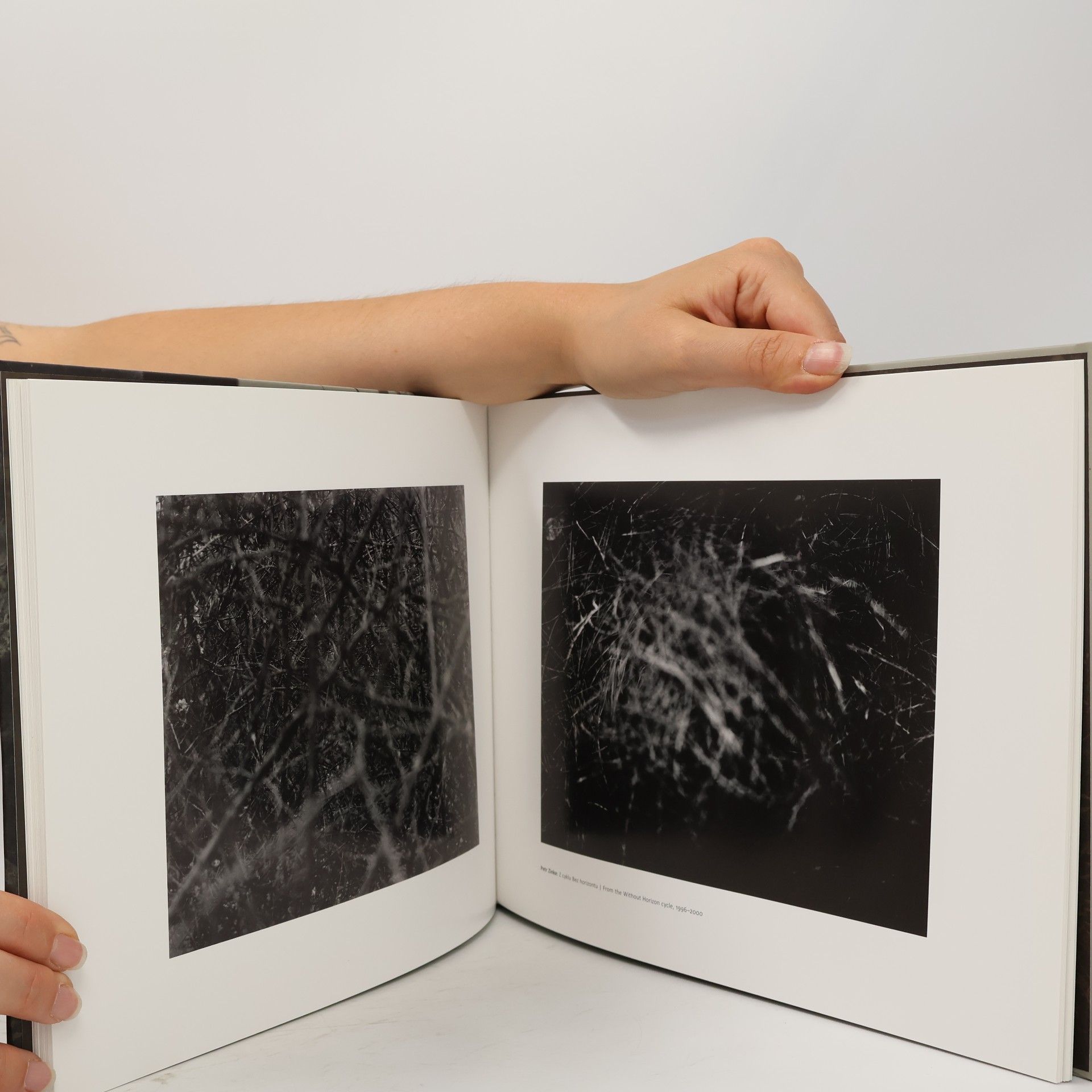Autorenkollektiv Neregulováno. Prales ve fotografii