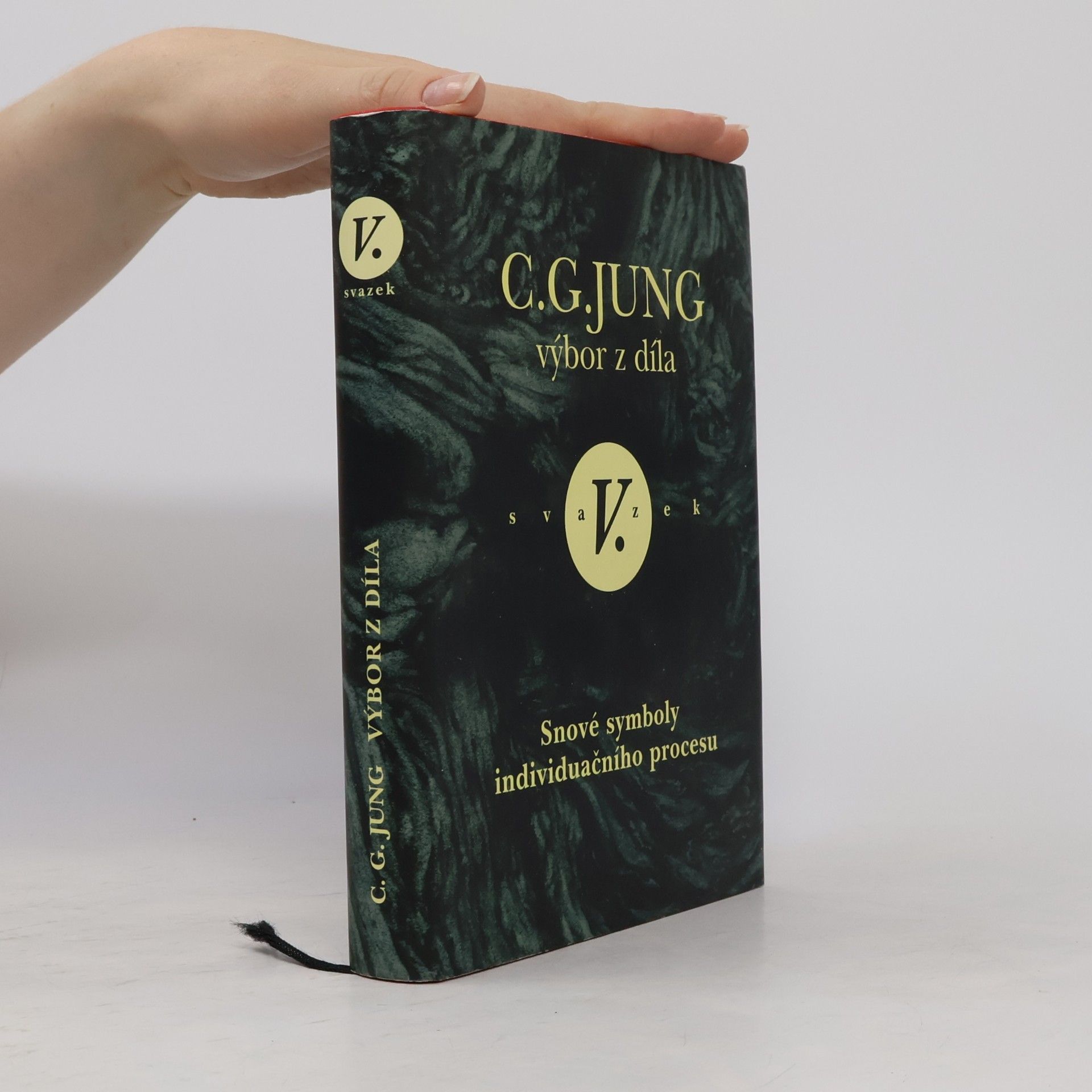 Carl Gustav Jung Výbor z díla V.