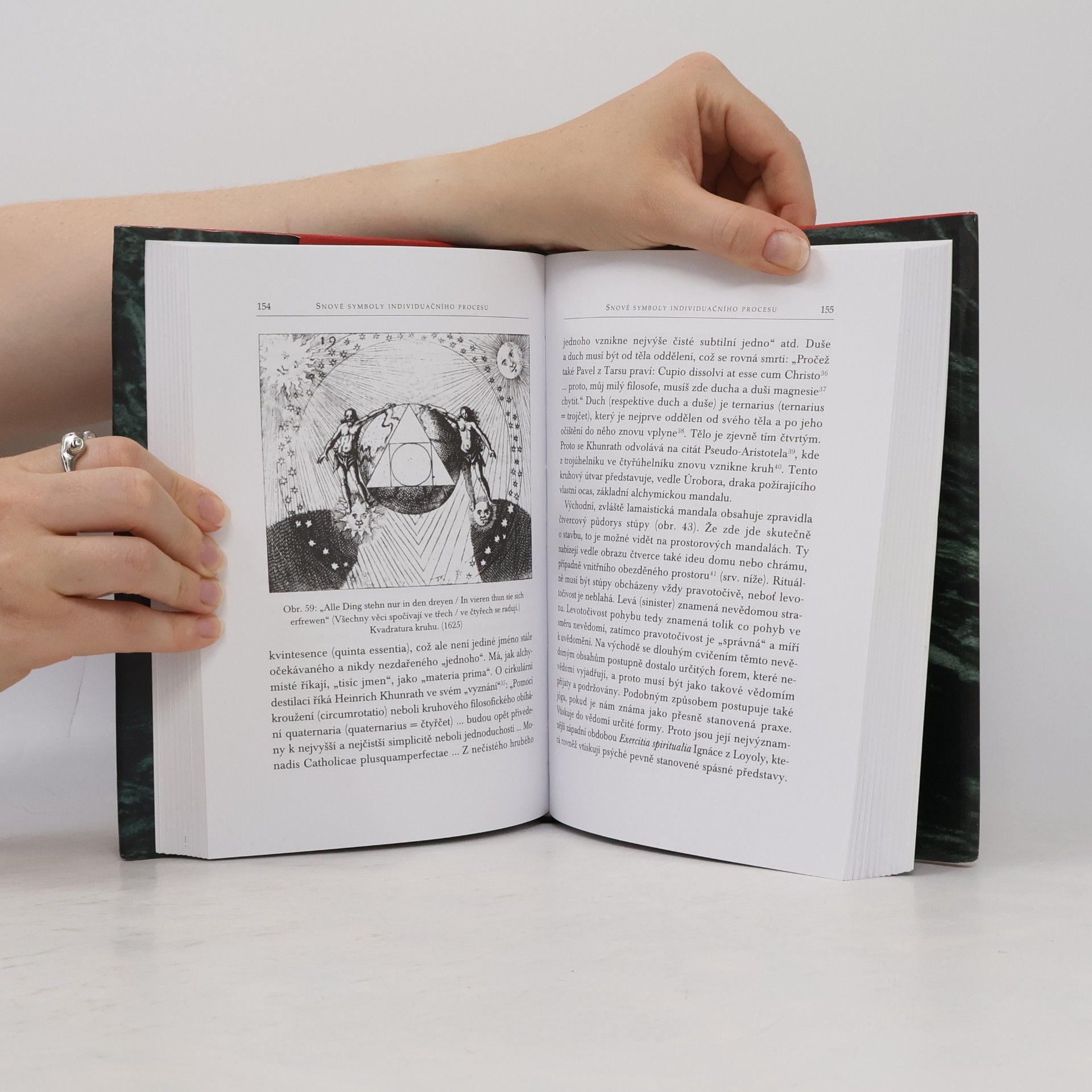 Carl Gustav Jung Výbor z díla V.