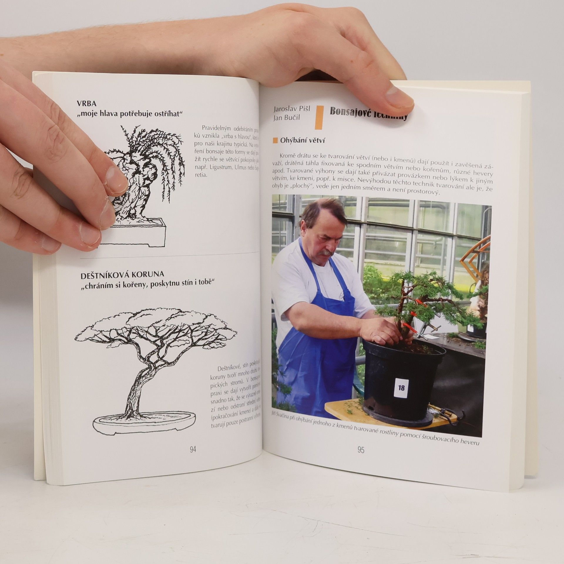 Jaroslav Pišl Bonsai nejen v paneláku