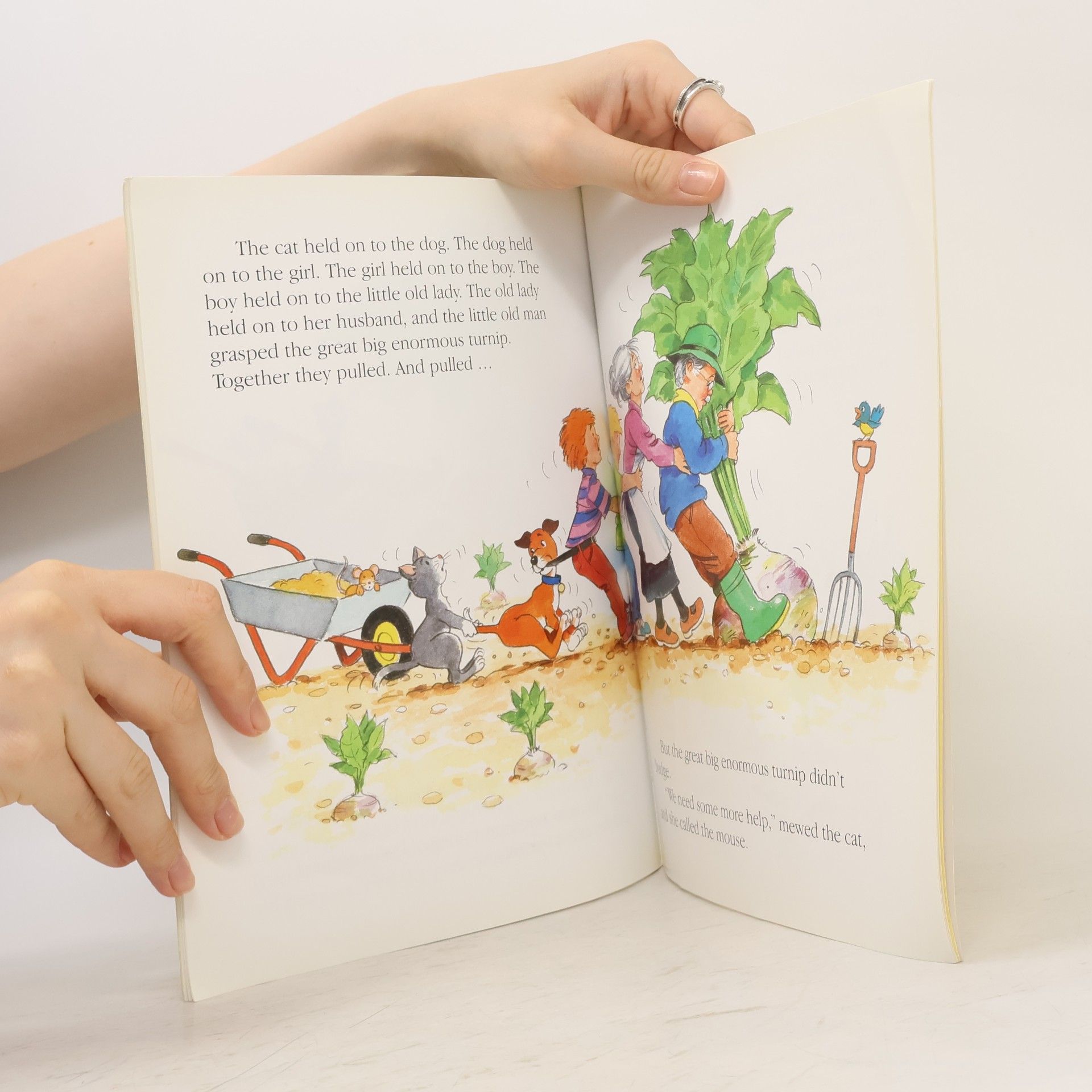 Anna Award Award Young Readers: The Great Big Enormous Turnip