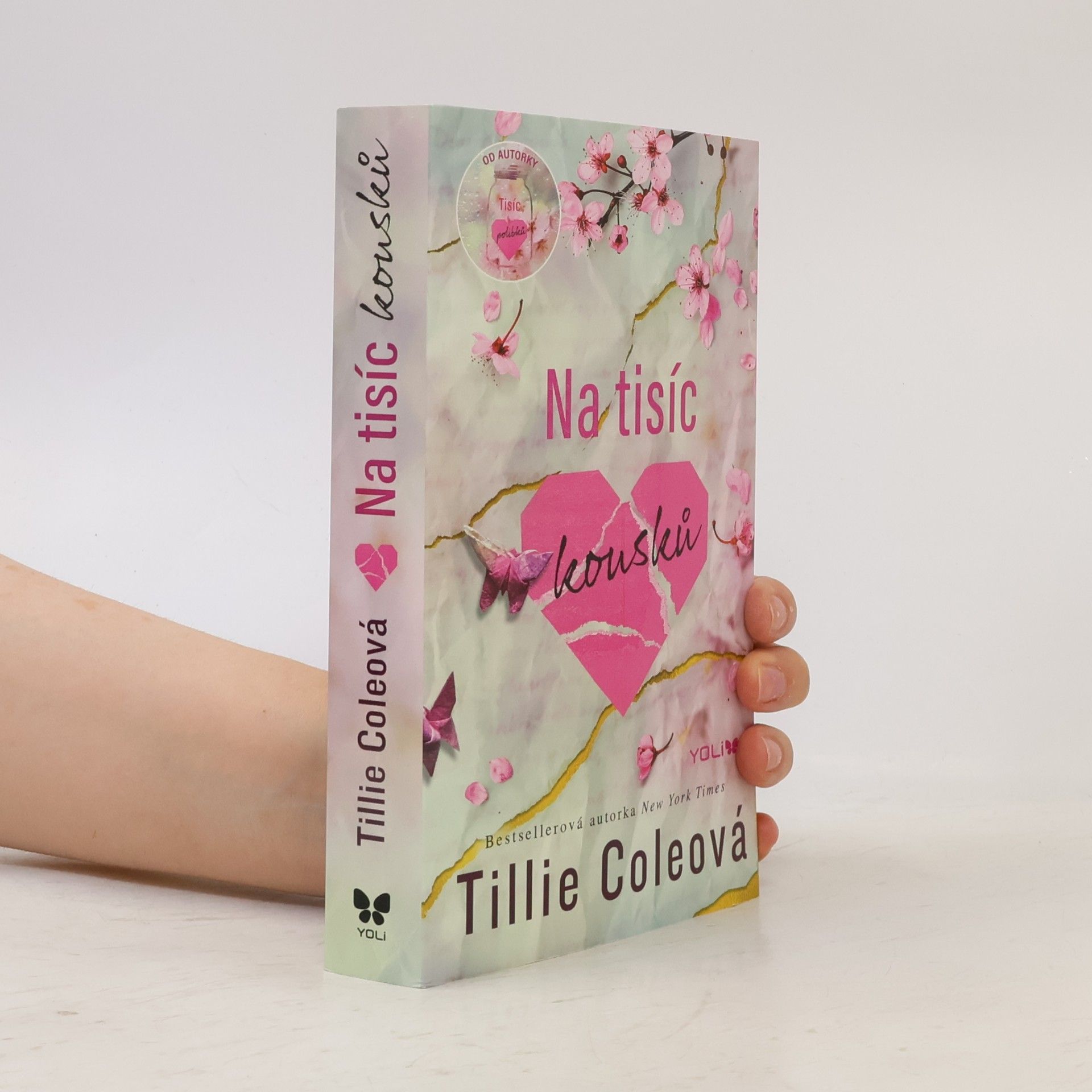 Tillie Cole Na tisíc kousků
