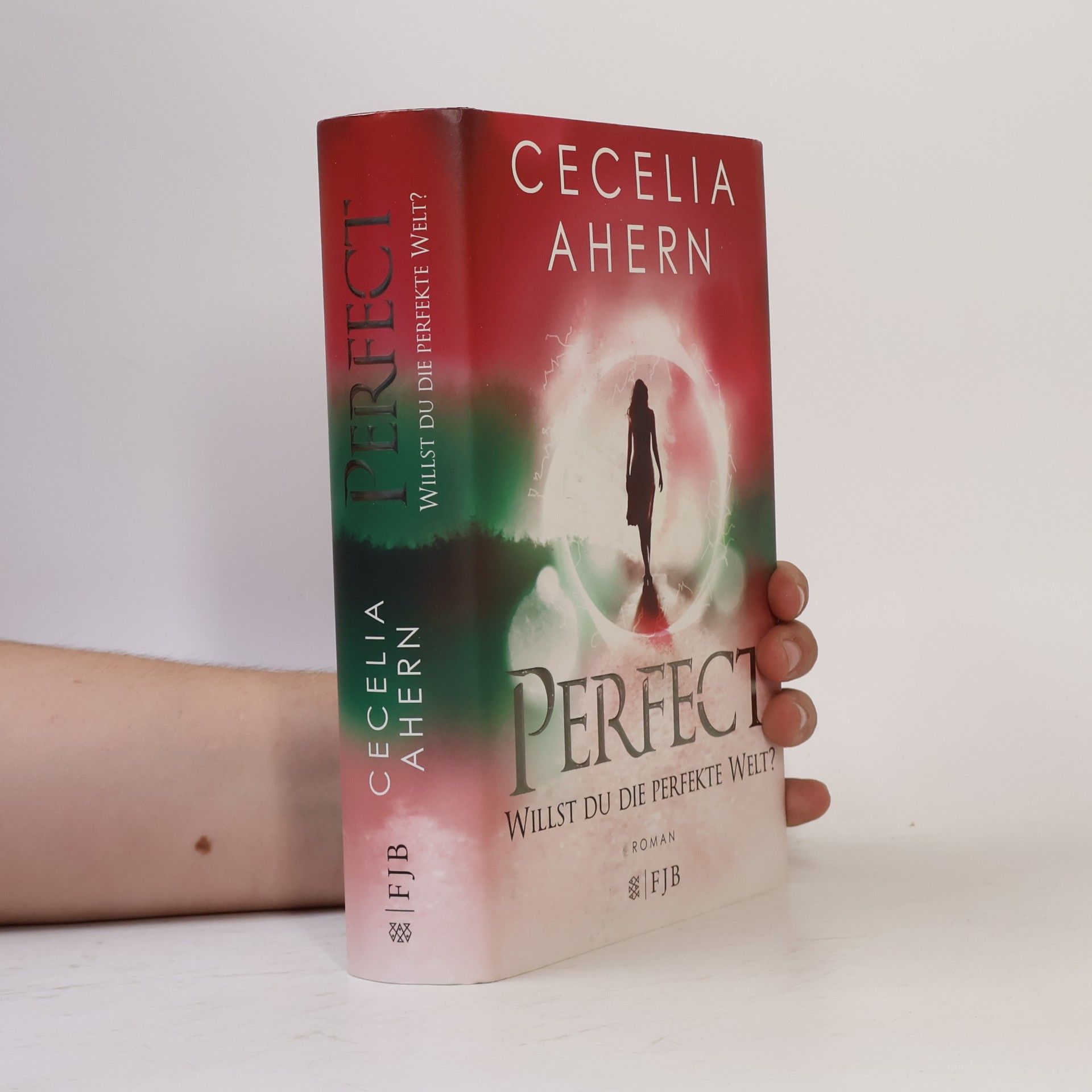 Cecelia Ahern Perfect - willst du die perfekte Welt?