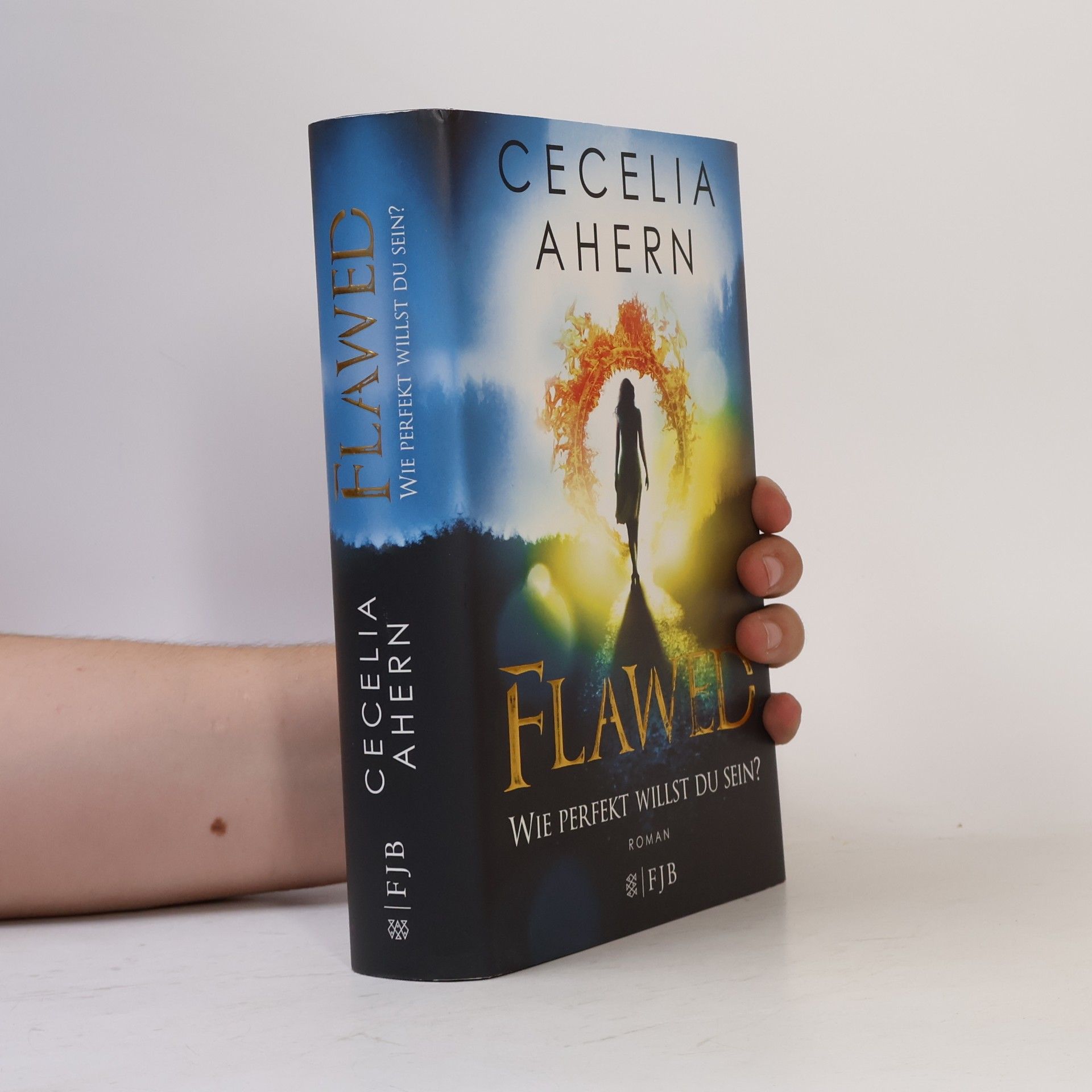 Cecelia Ahern Flawed - wie perfekt willst du sein?