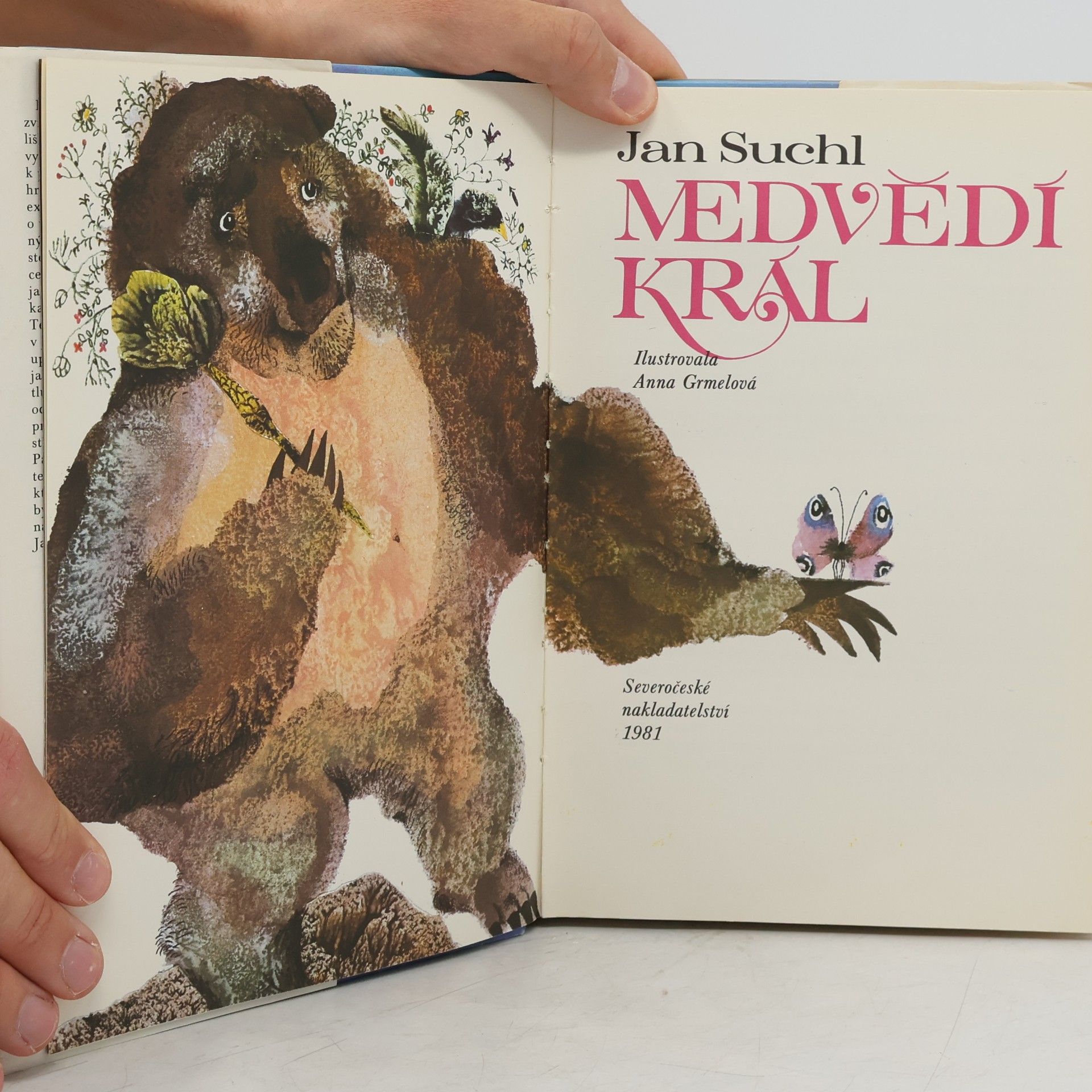 Anna Grmelová Medvědí král