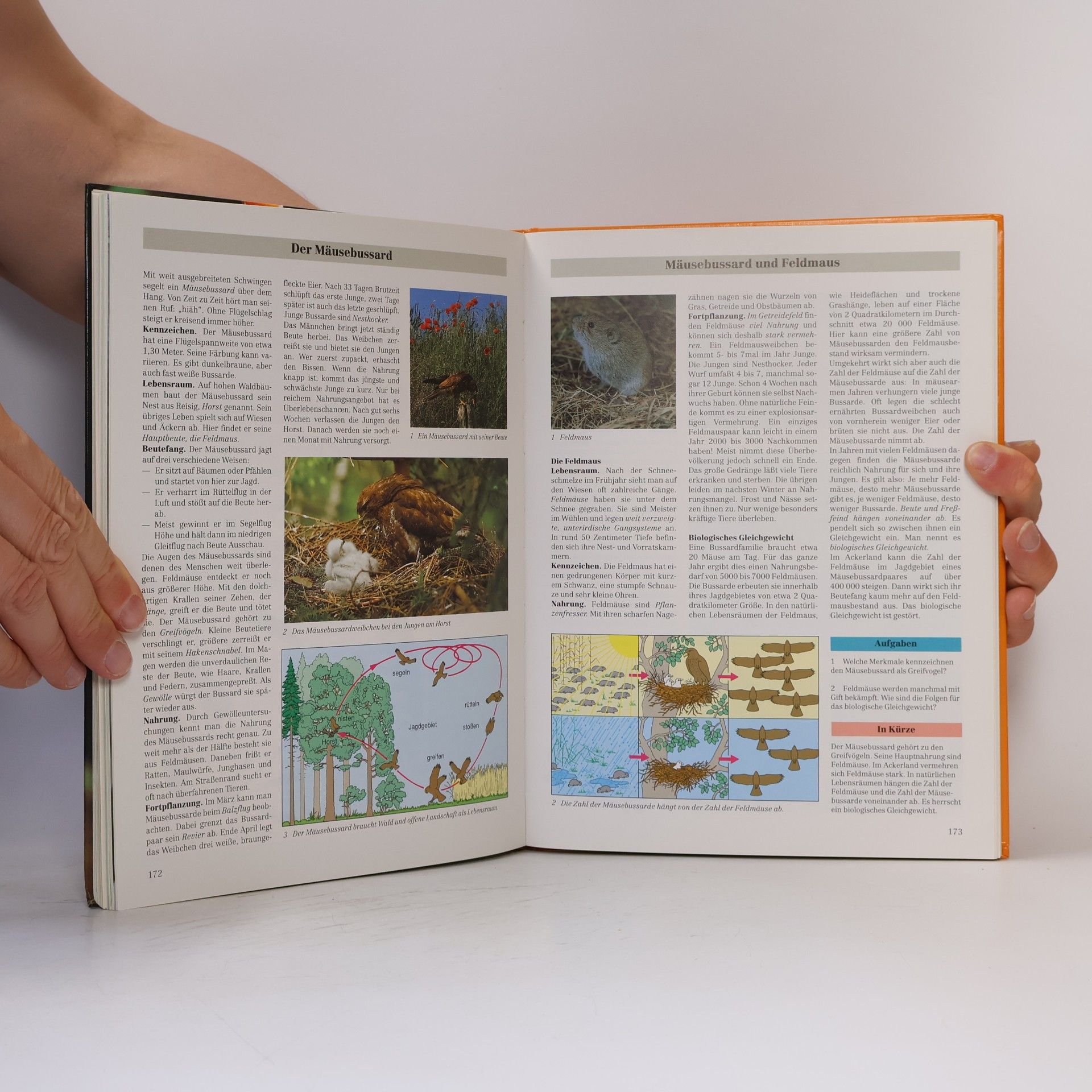 Werner Gotthard Biologie - Allgemeine Ausgabe, Gymnasium Baden-Württemberg und Saarland, 5./6. Schuljahr