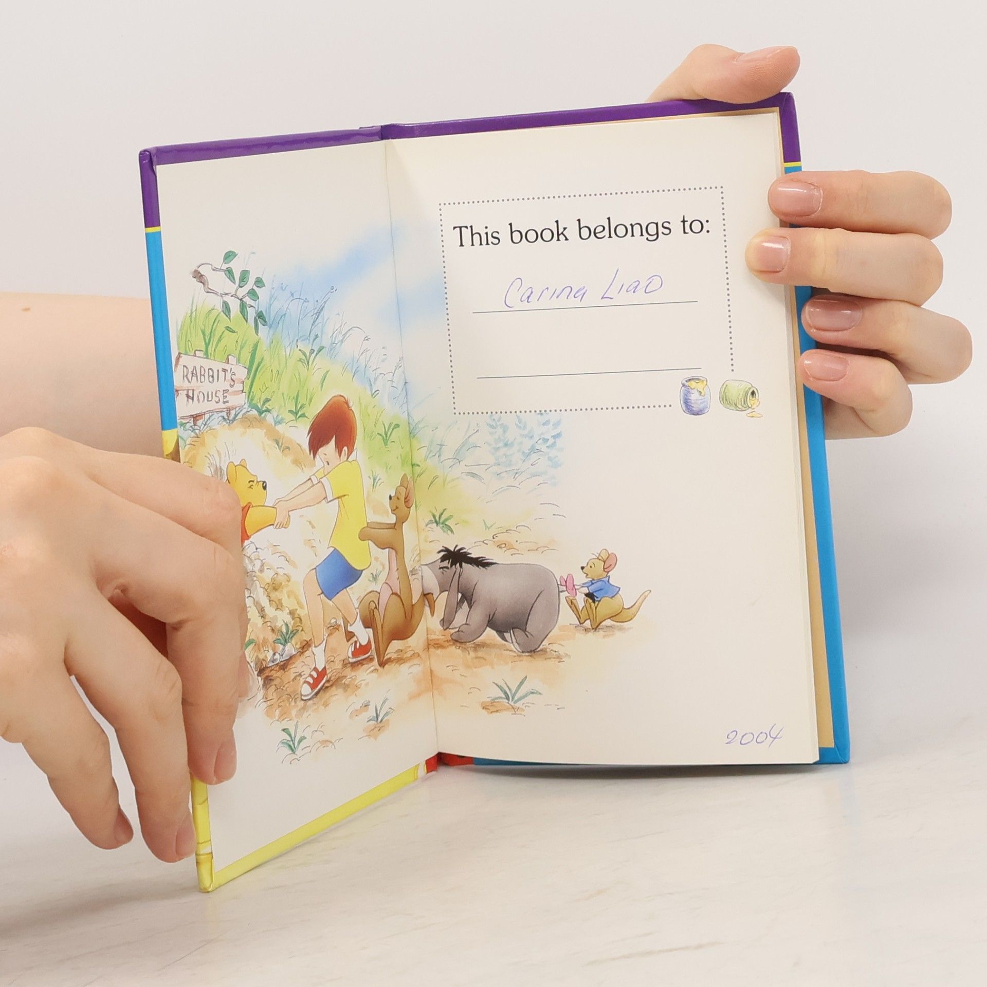 Walt Disney Company Winnie the Pooh First Readers: Too Much Honey