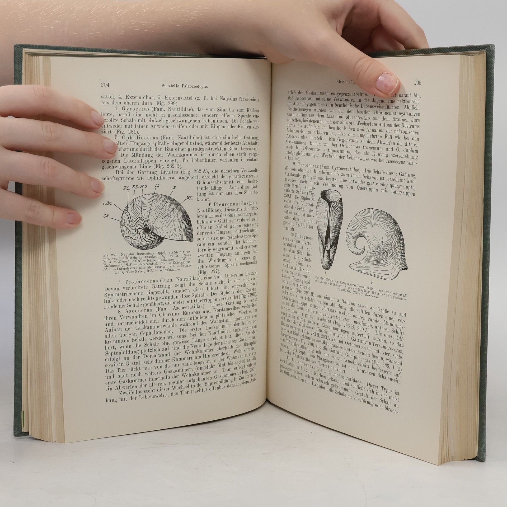 Othenio Abel Lehrbuch der Paläozoologie