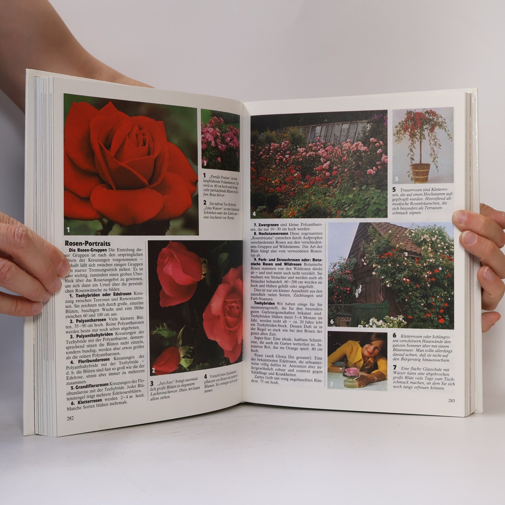 Autorenkollektiv Der Garten: Planung – Gestaltung – Pflege