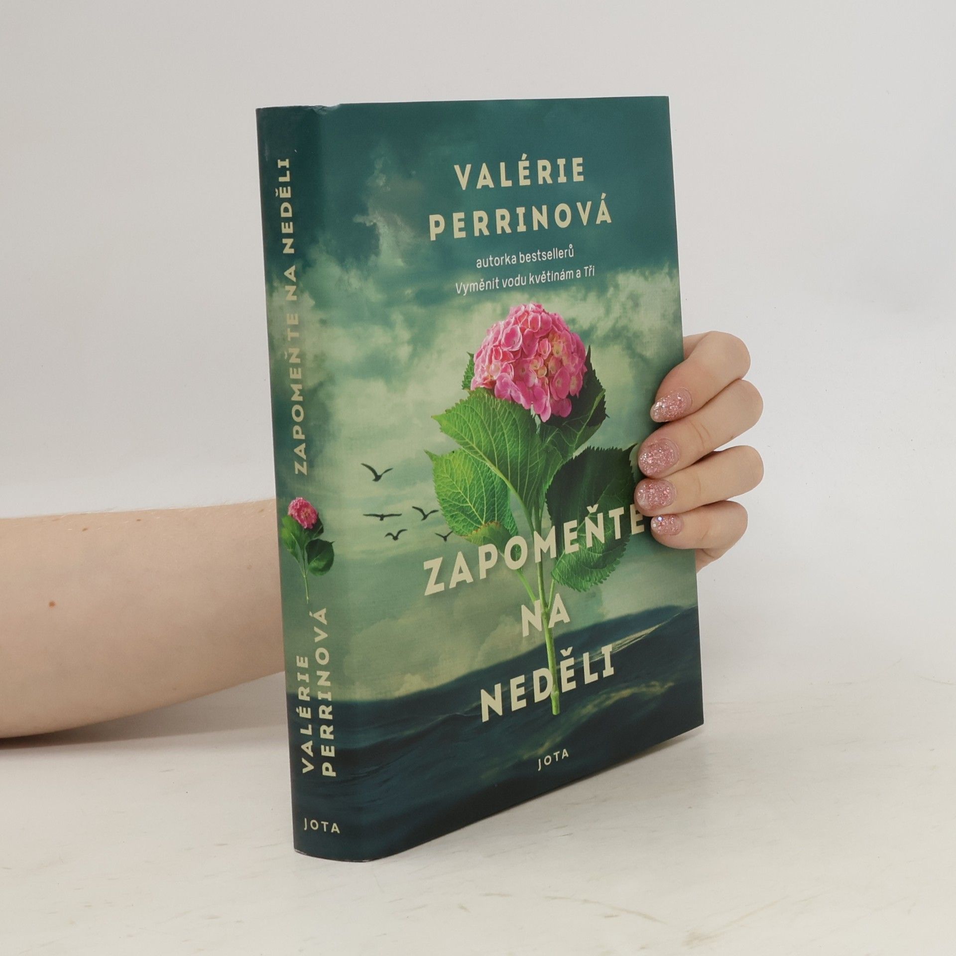 Valérie Perrin Zapomeňte na neděli