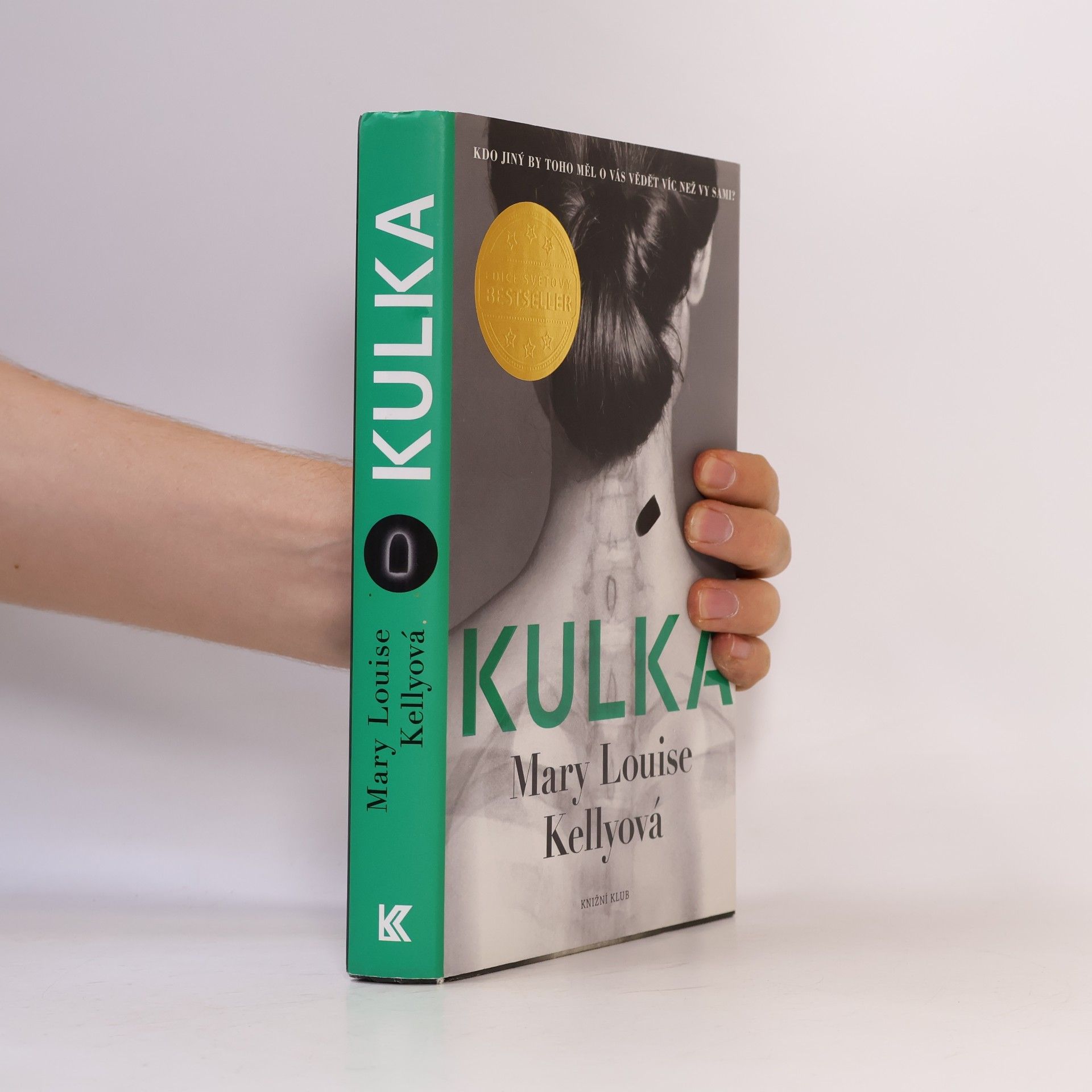 Mary Louise Kelly Kulka