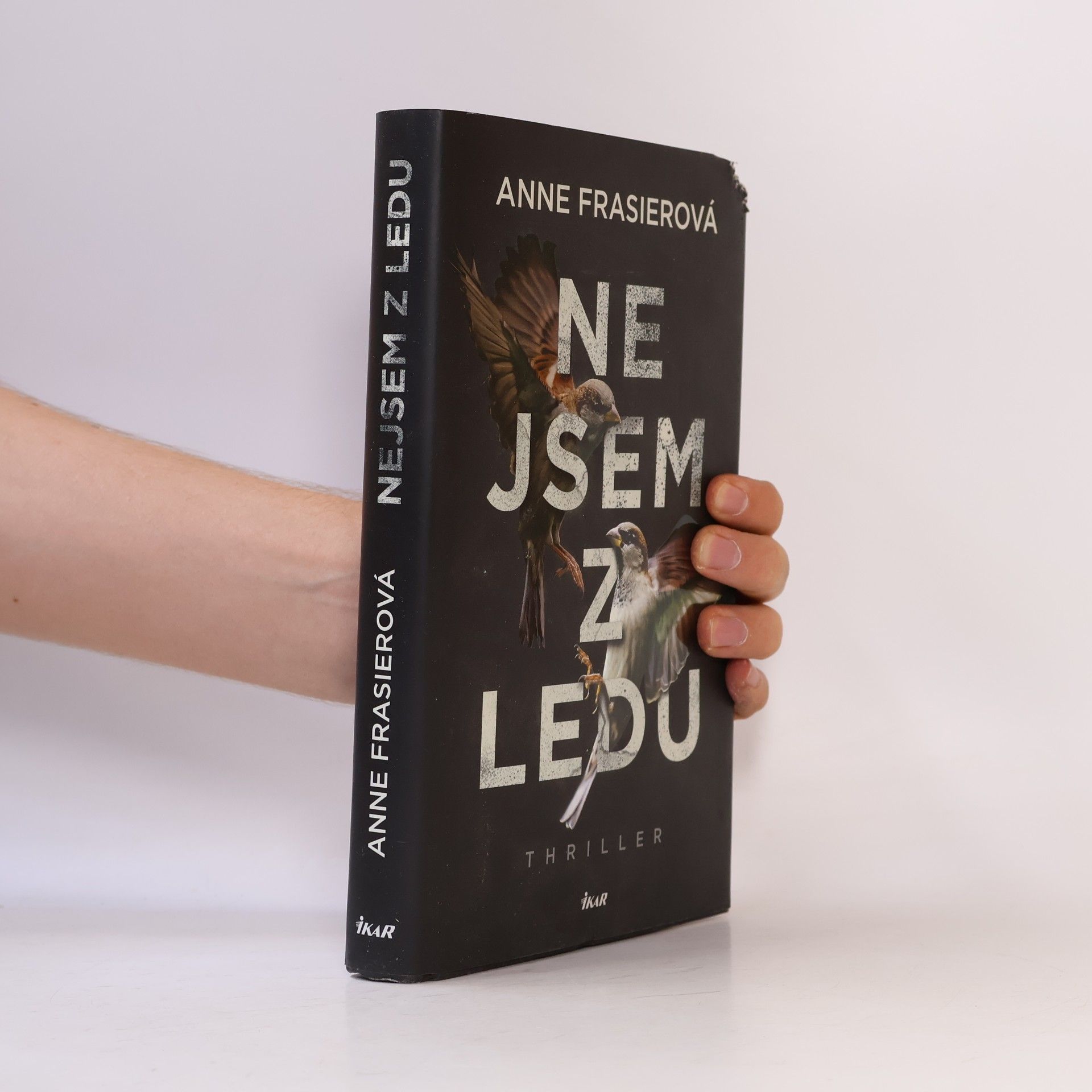 Anne Frasier Nejsem z ledu
