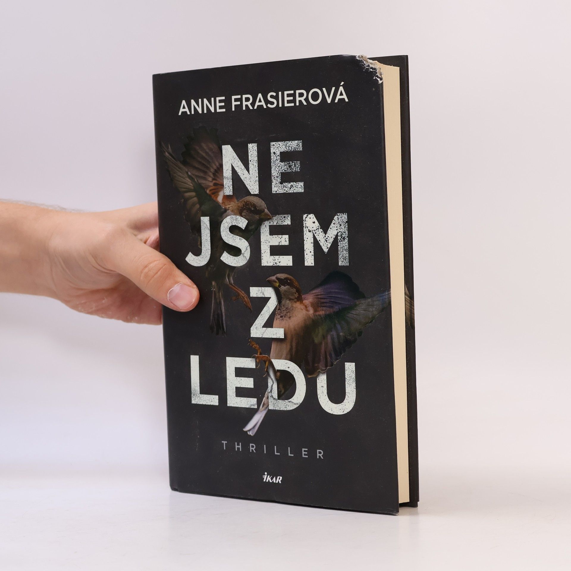 Anne Frasier Nejsem z ledu