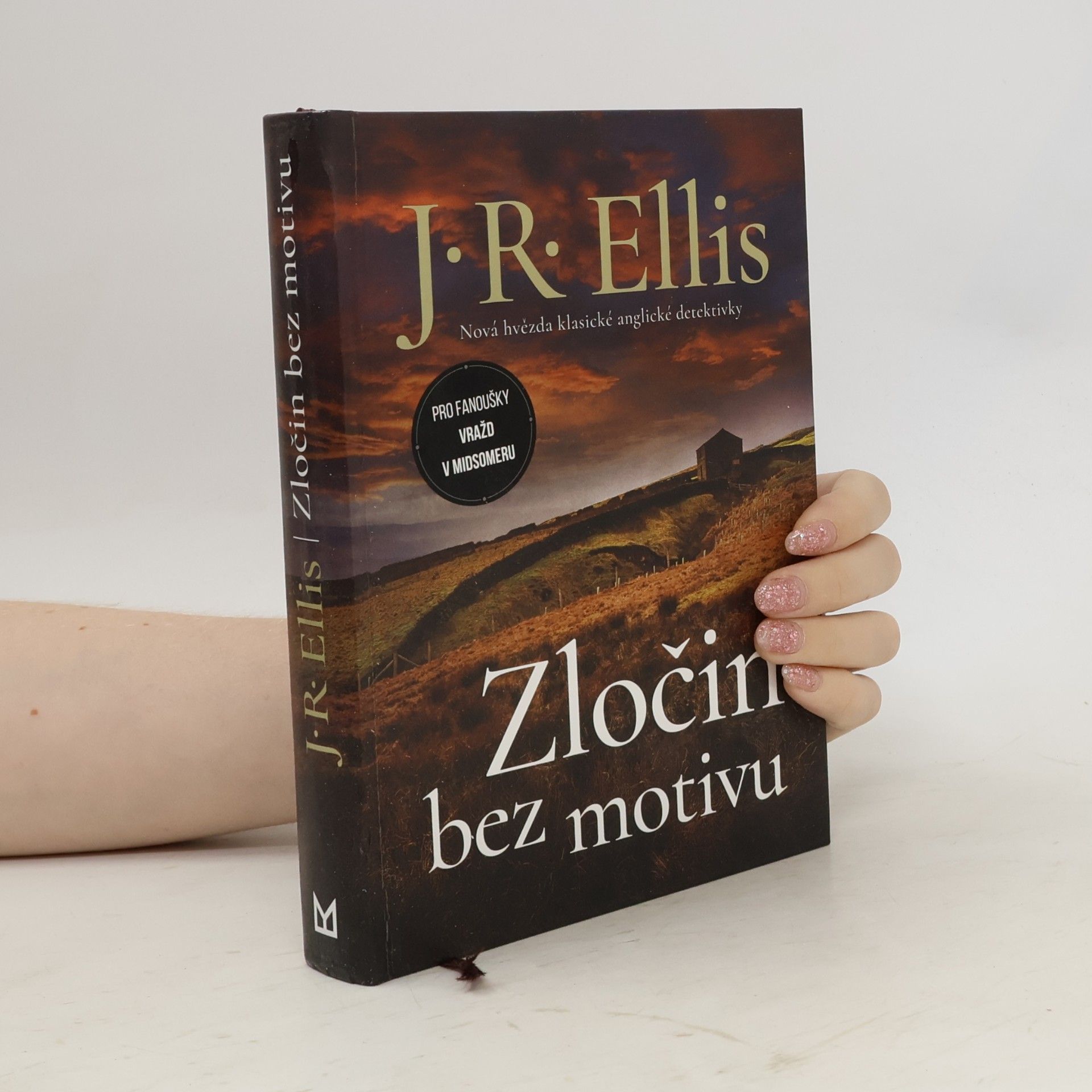 Steven J. R. Ellis Zločin bez motivu